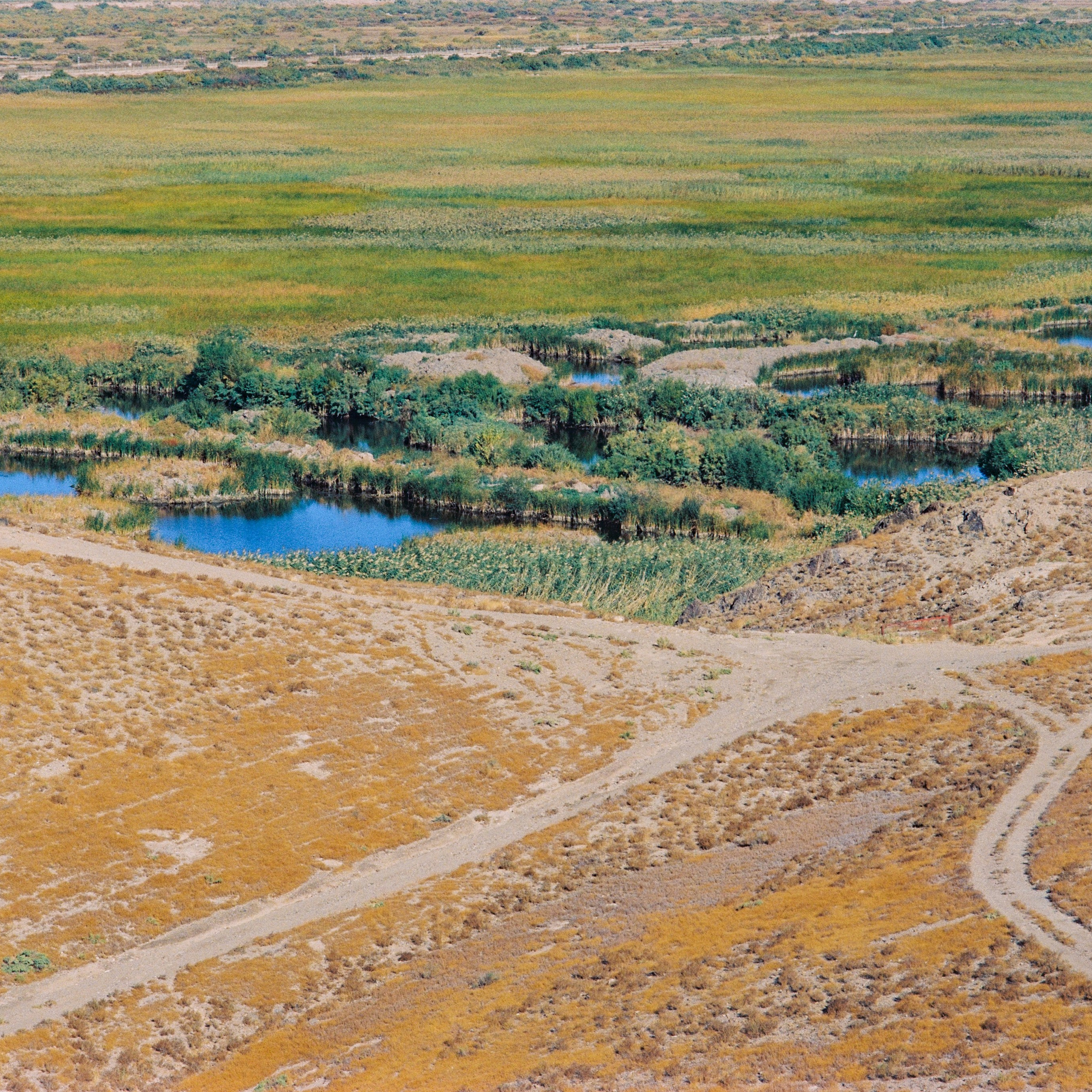 Country road near Khor Virap monastery, Armenia. 2025