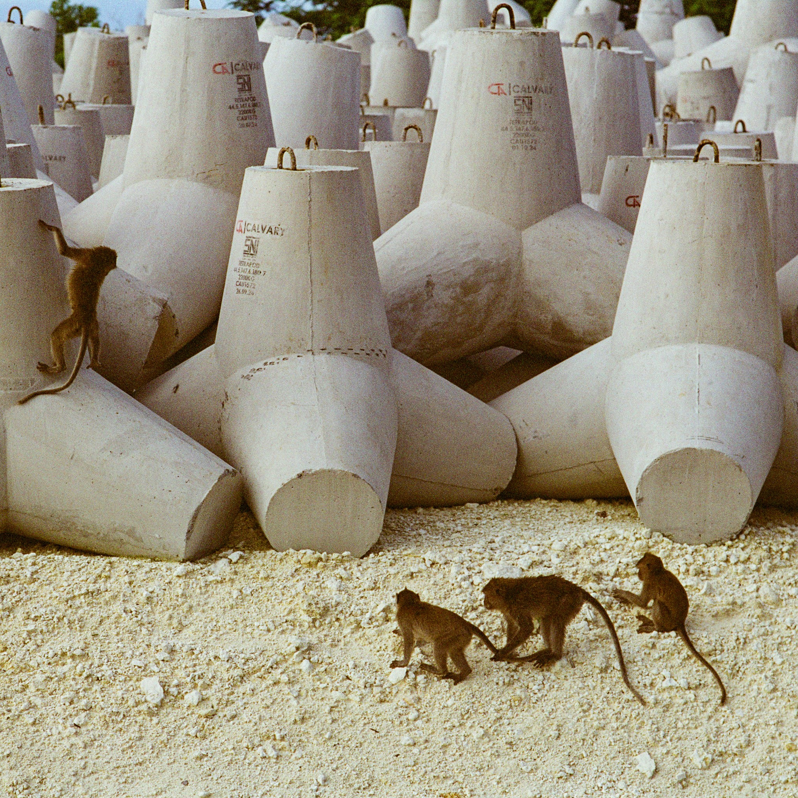 Bali, Indonesia. 2025