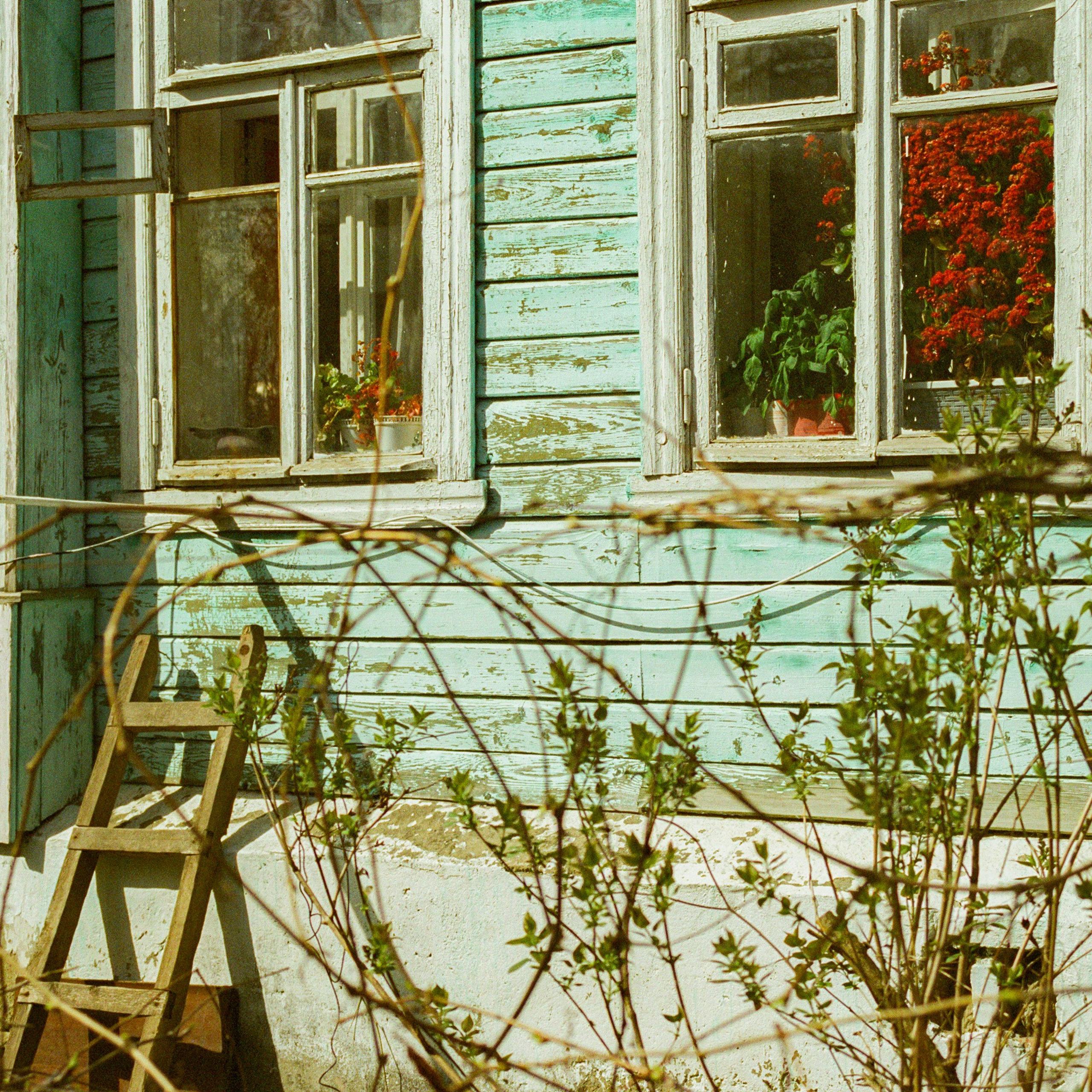 Pereslavl-Zalessky, Yaroslavl Oblast. 2024