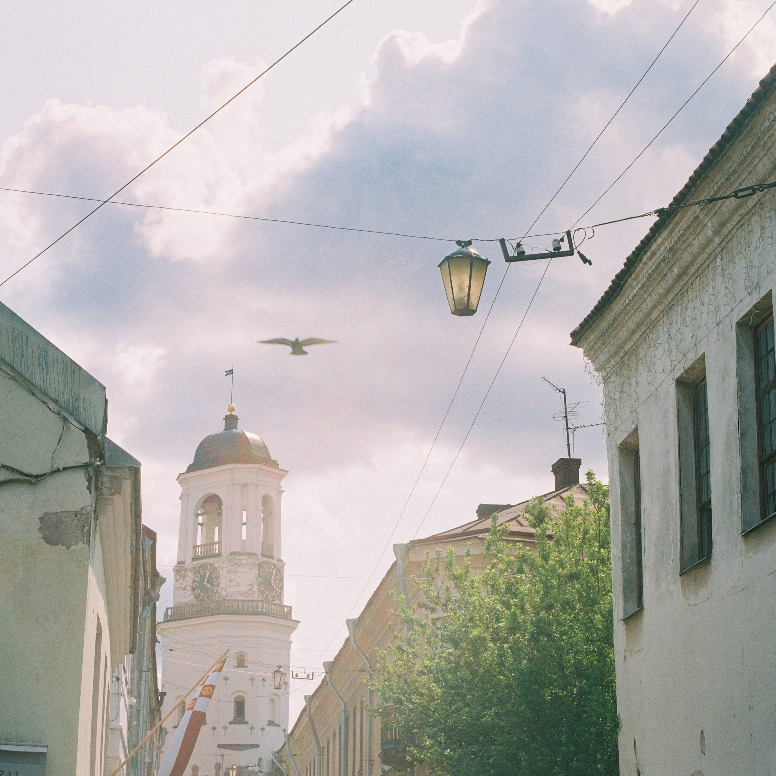 Vyborg, Leningrad Oblast. 2025