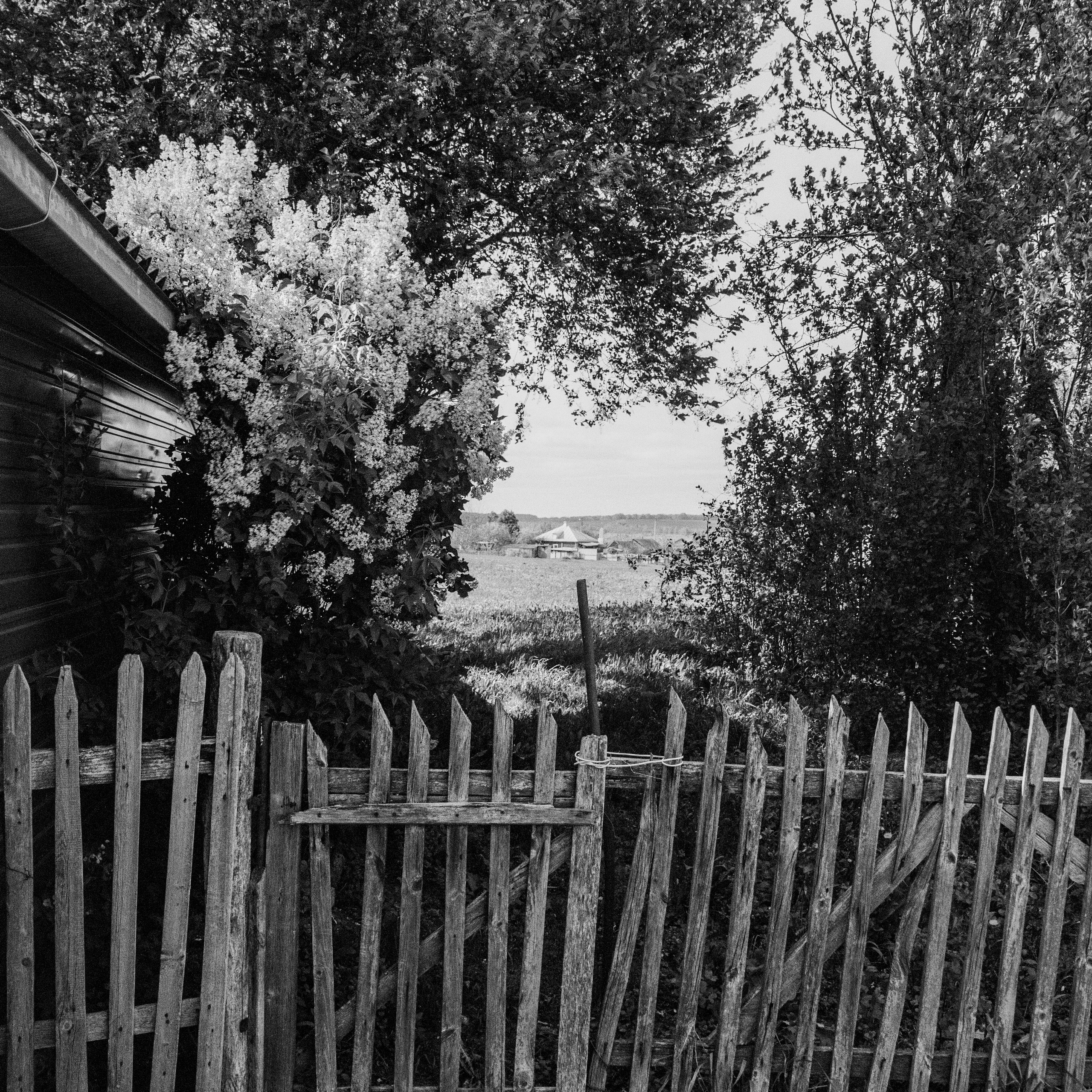 Old gate from abandoned house, hometown. 2025