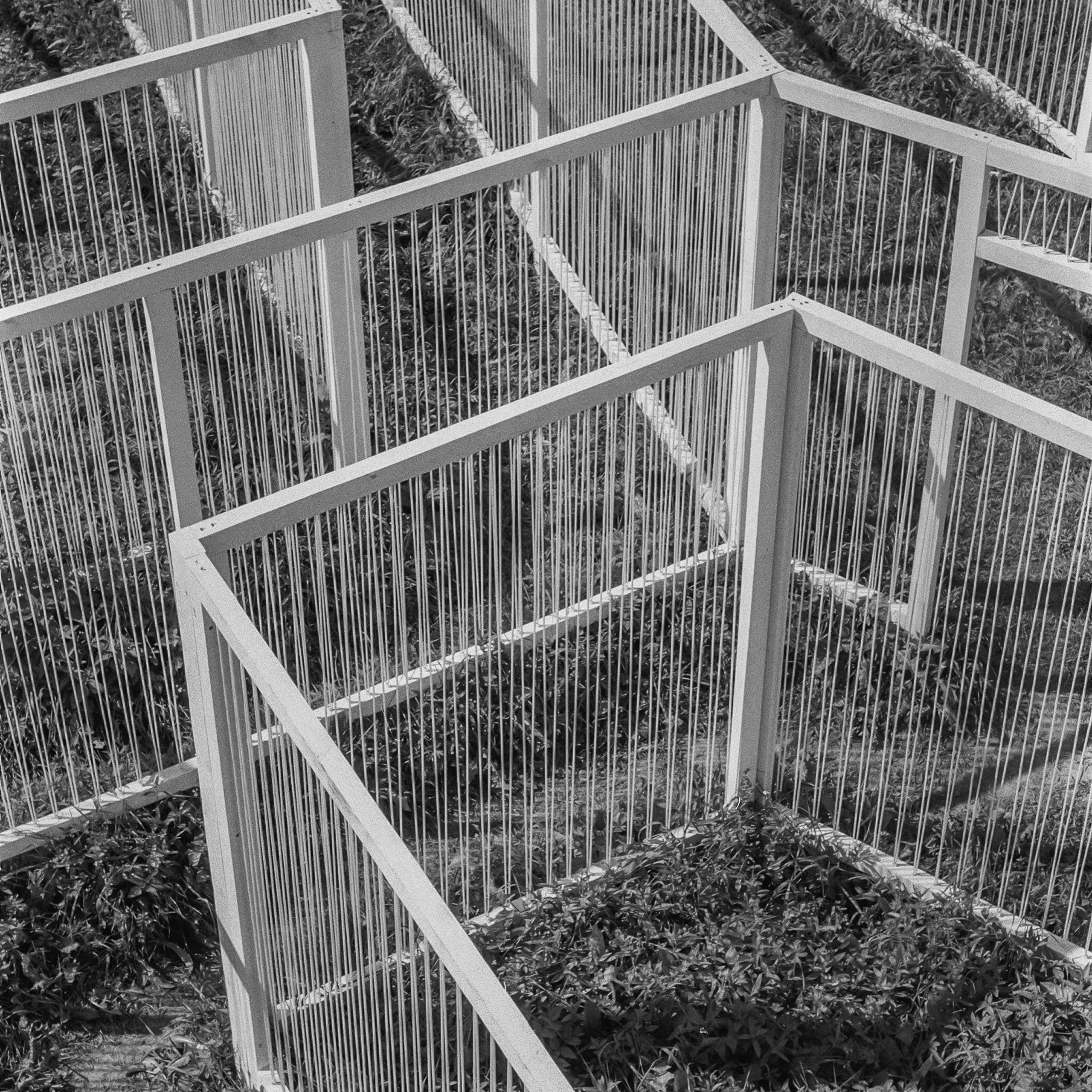 Nikola-Lenivets, Kaluga Oblast. 2024