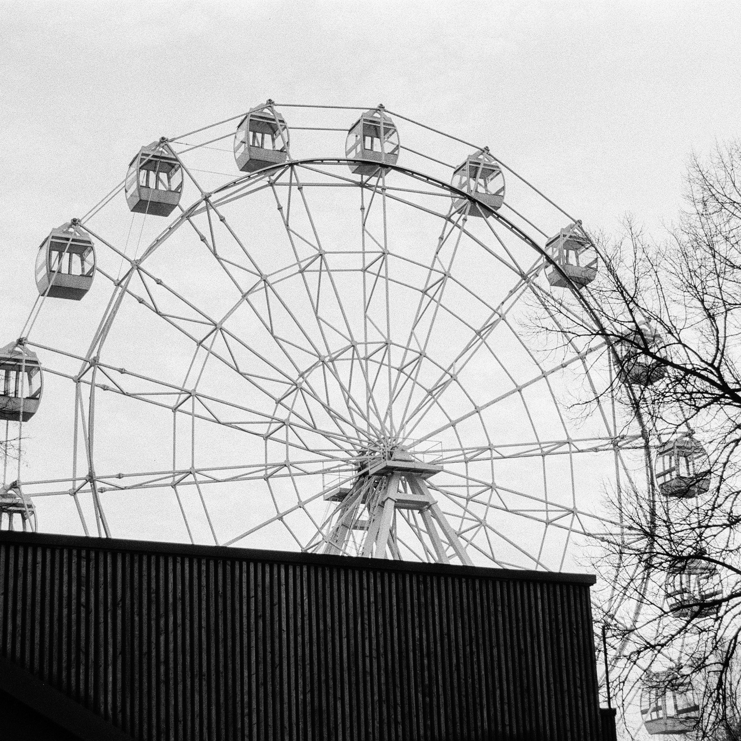 Sokolniki Park, Moscow. 2024