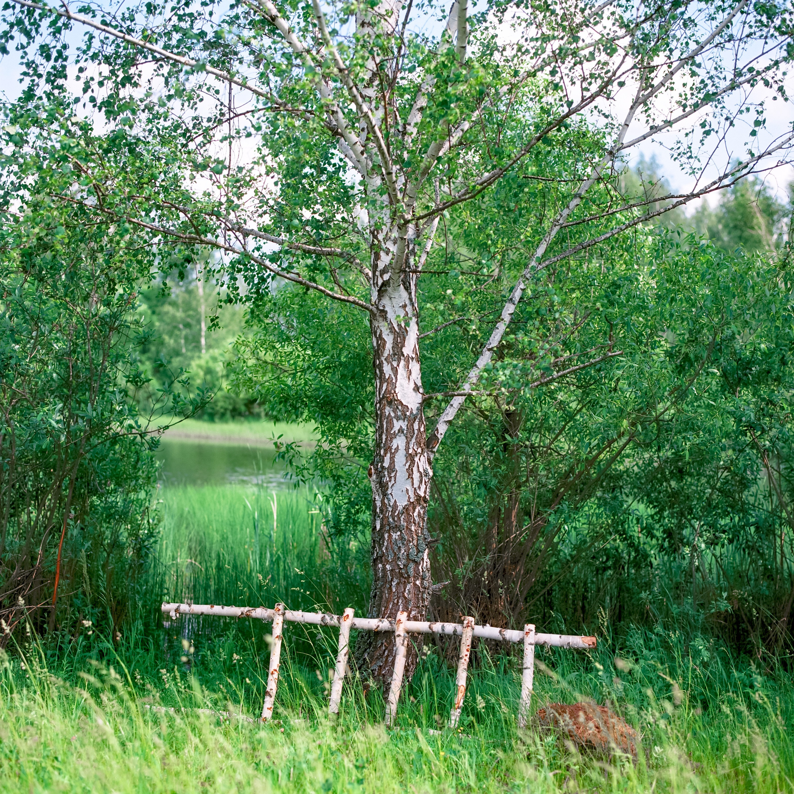 Yuzhny, Tula Oblast. 2025