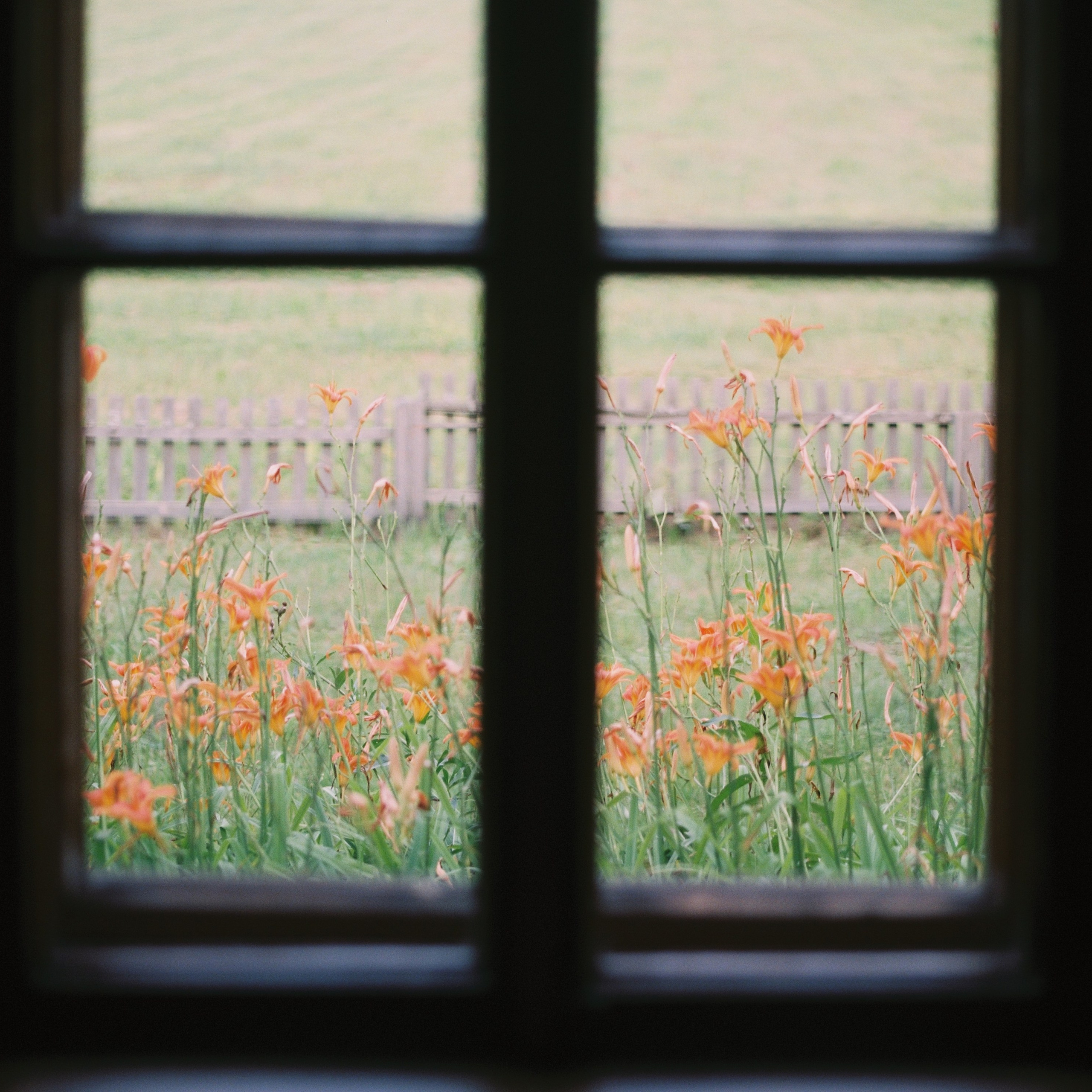 Konstantinovo, Ryazan Oblast. 2025