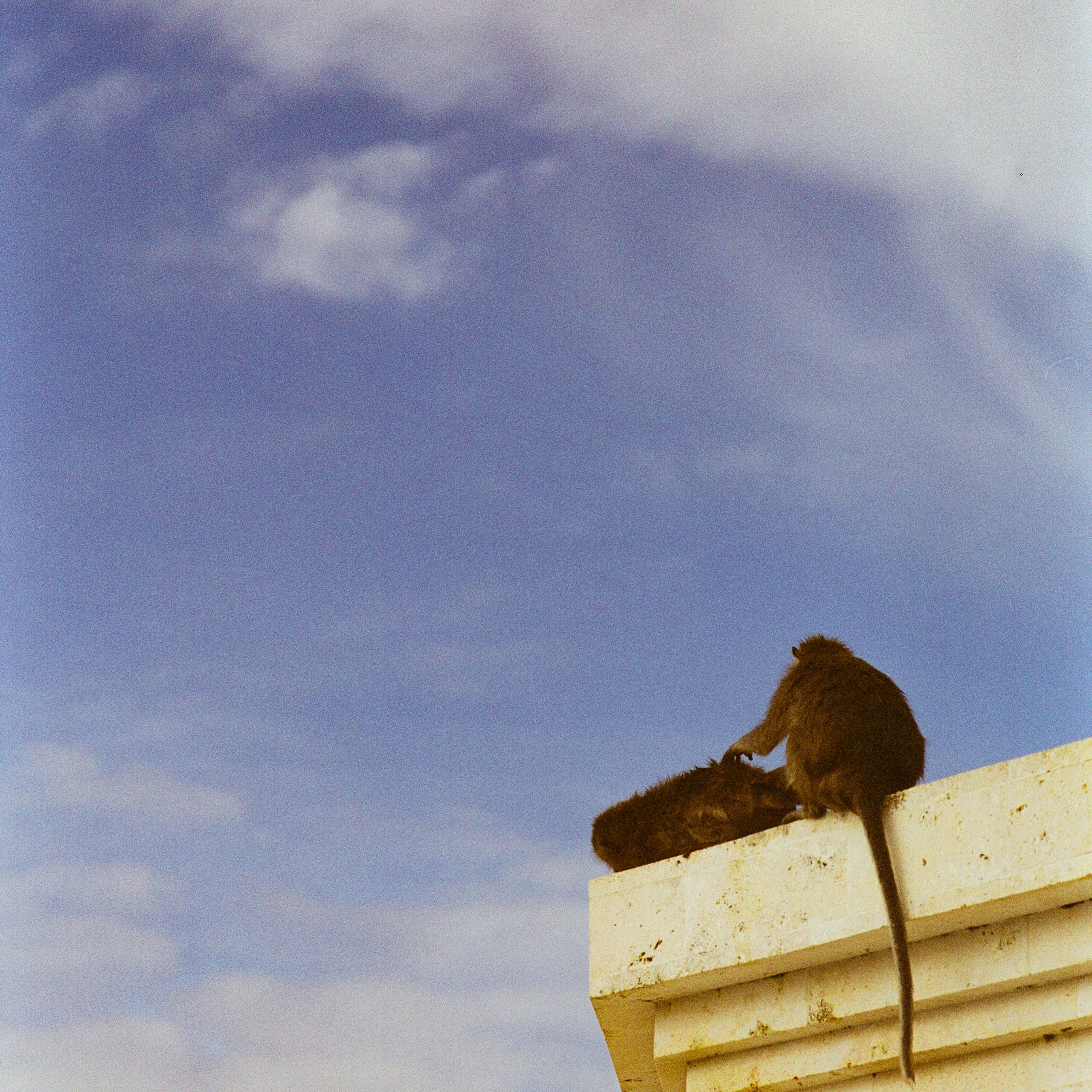 Bali, Indonesia. 2025