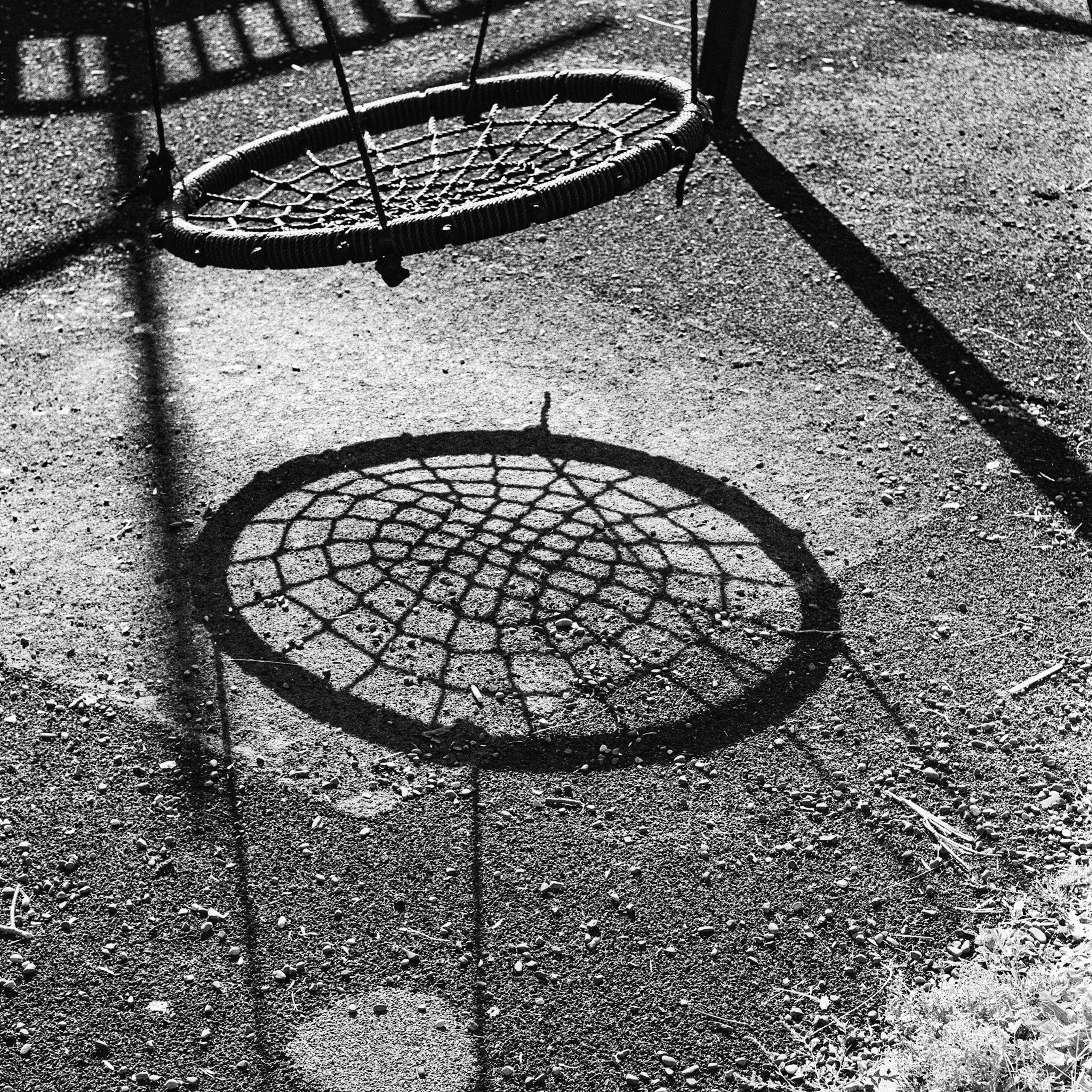 Brattsevskiy Park, Putilkovo, Moscow Oblast. 2024