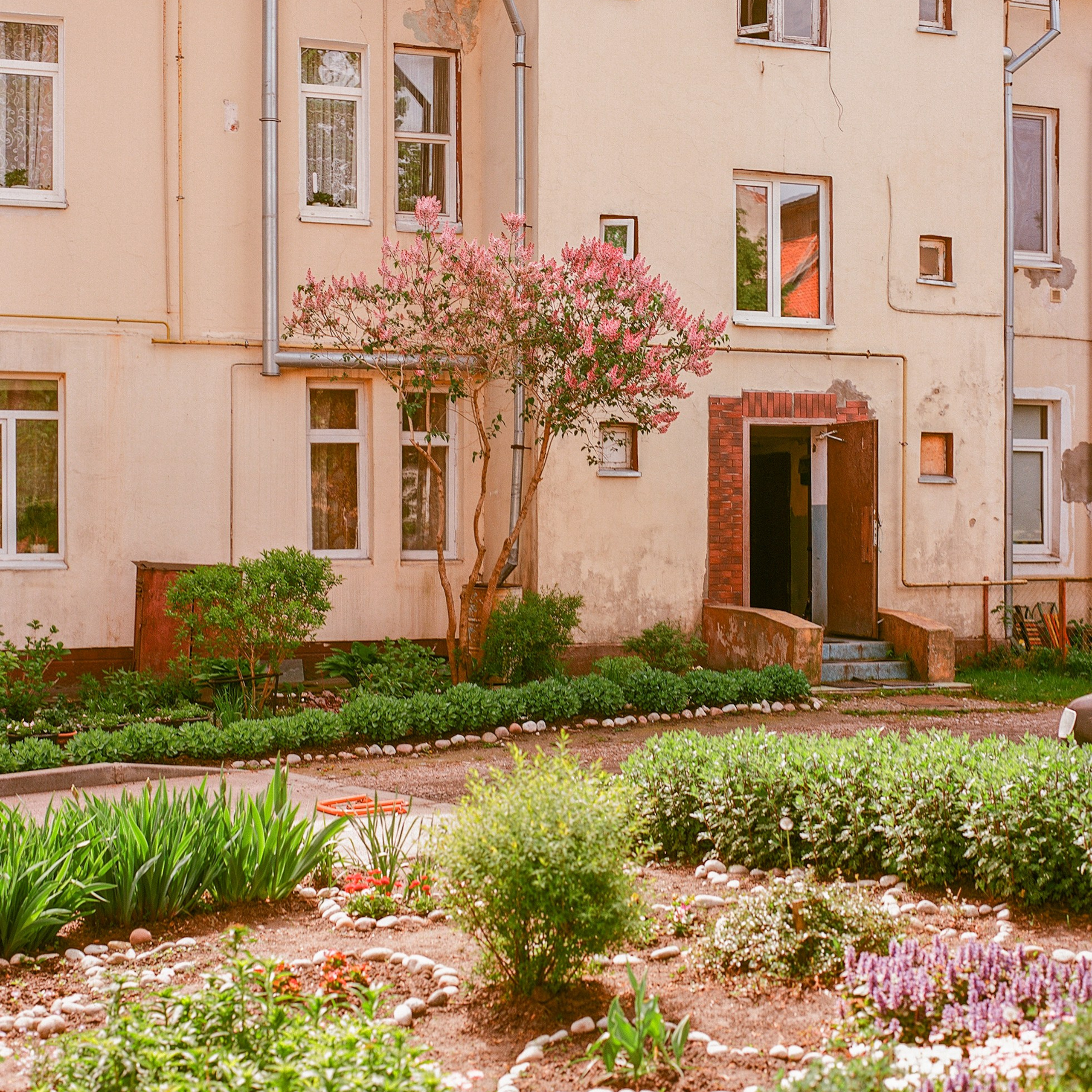 Zelenogradsk, Kaliningrad Oblast. 2024