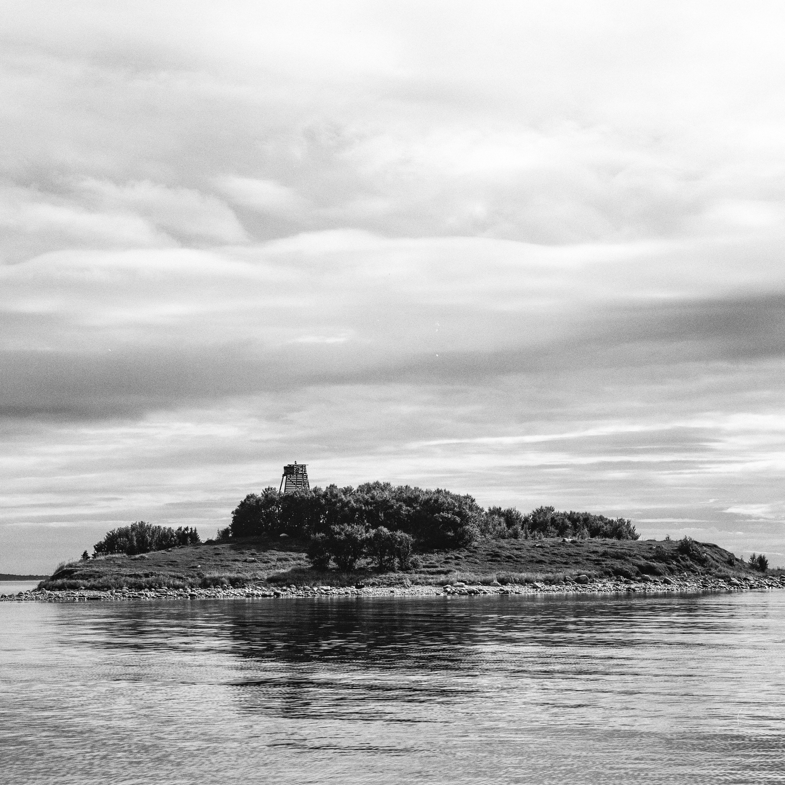 Solovetsky Islands, White Sea. 2026