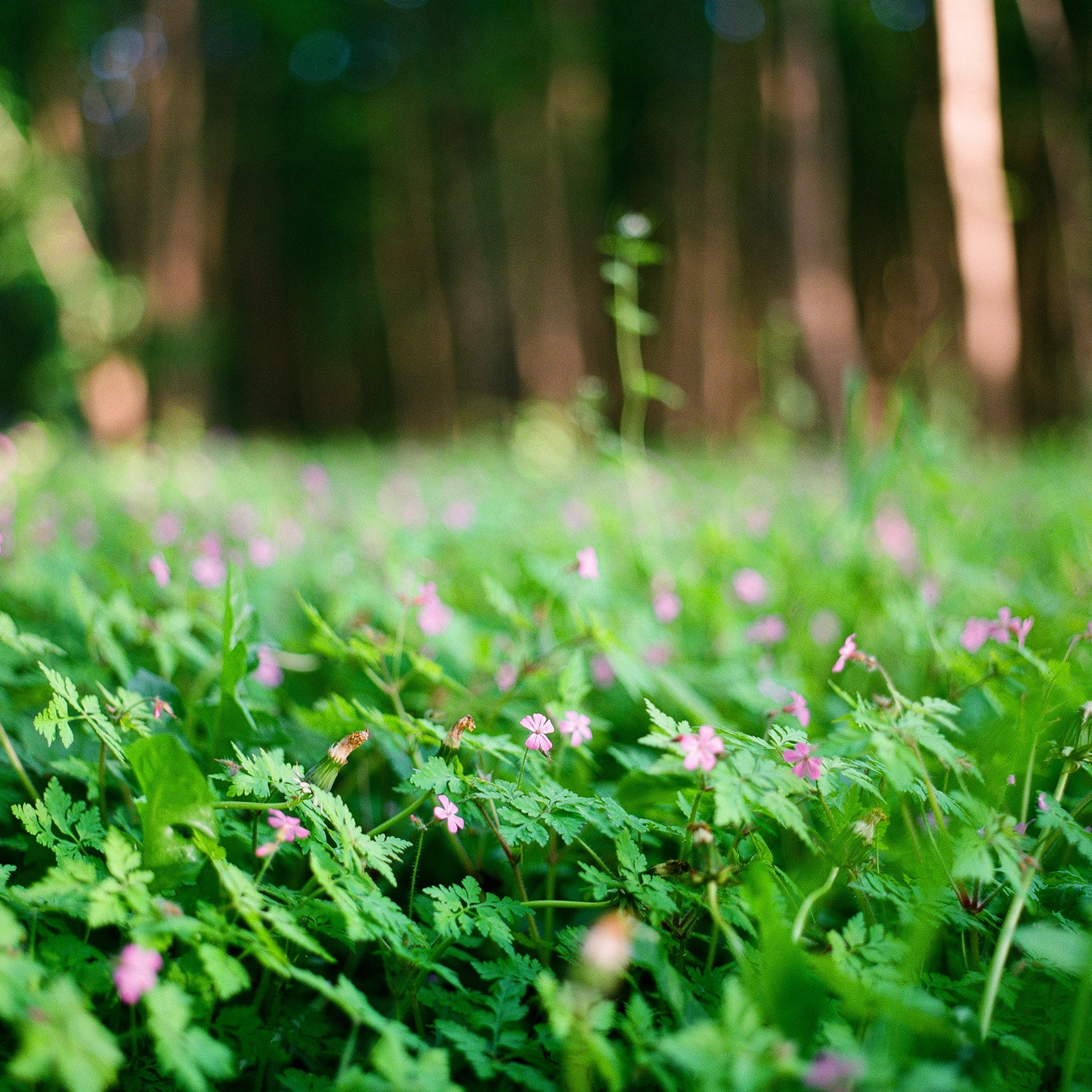 Yantarny, Kaliningrad Oblast. 2024