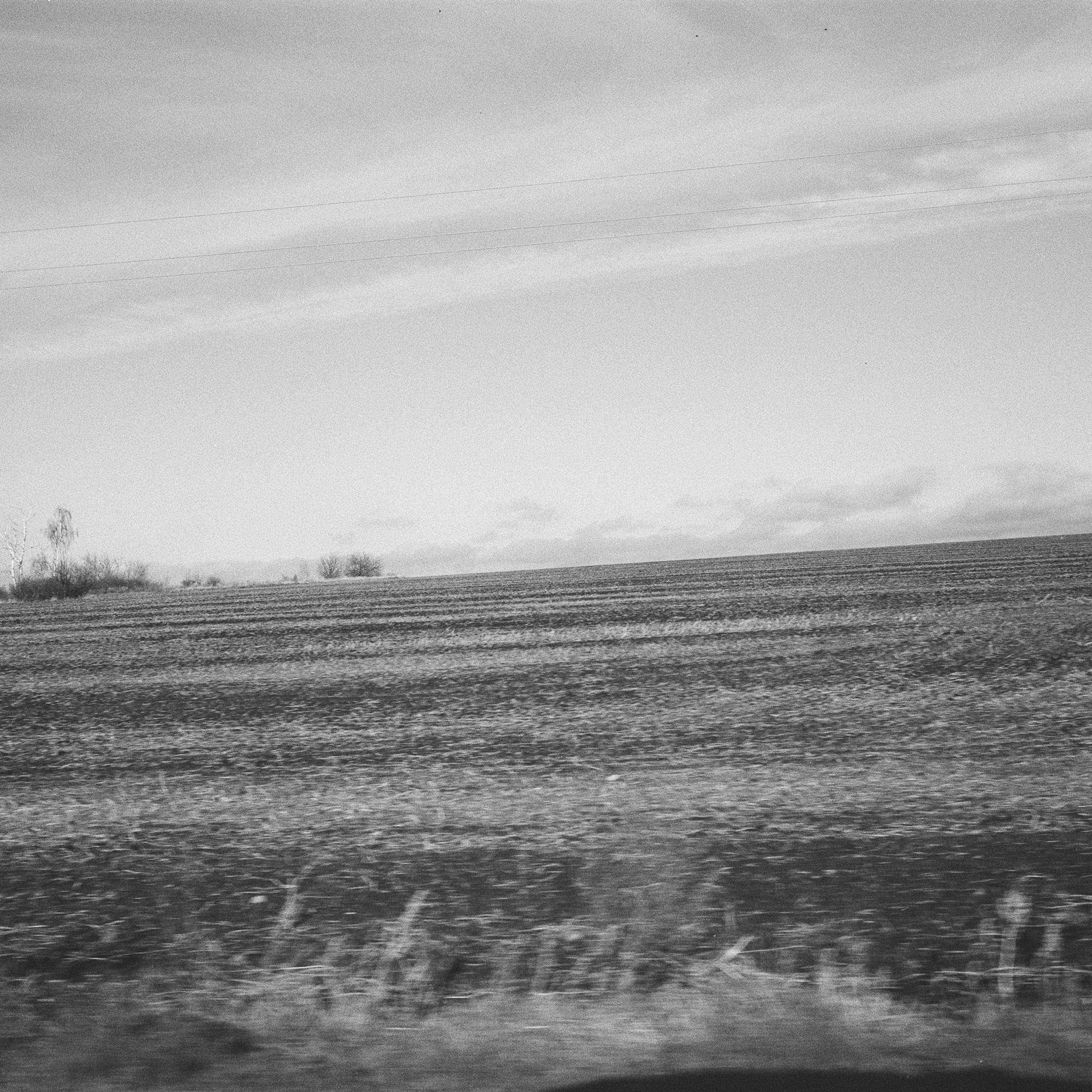 Black soil land, hometown. 2025