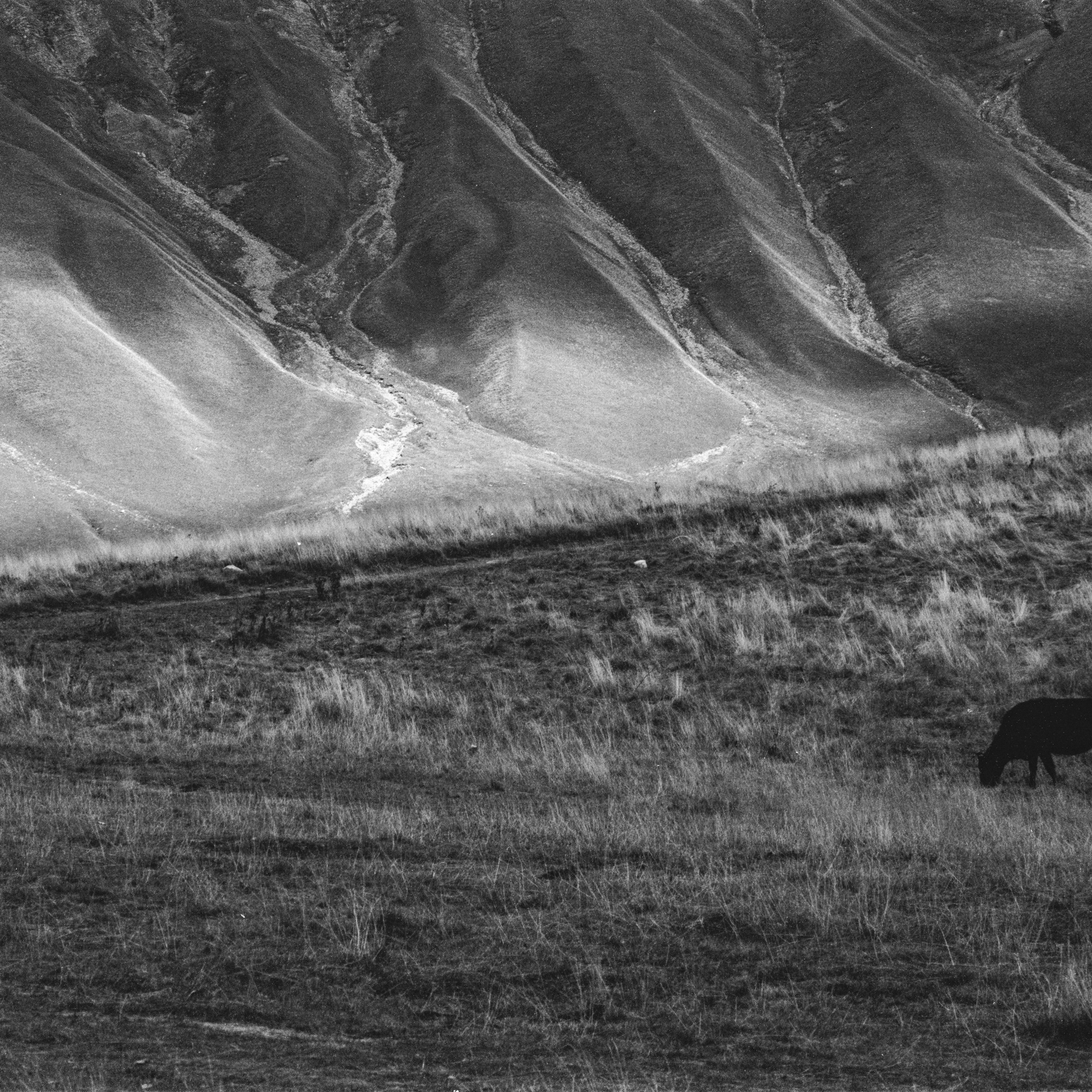 Near Russia–Georgia Friendship Monument, Georgia. 2025