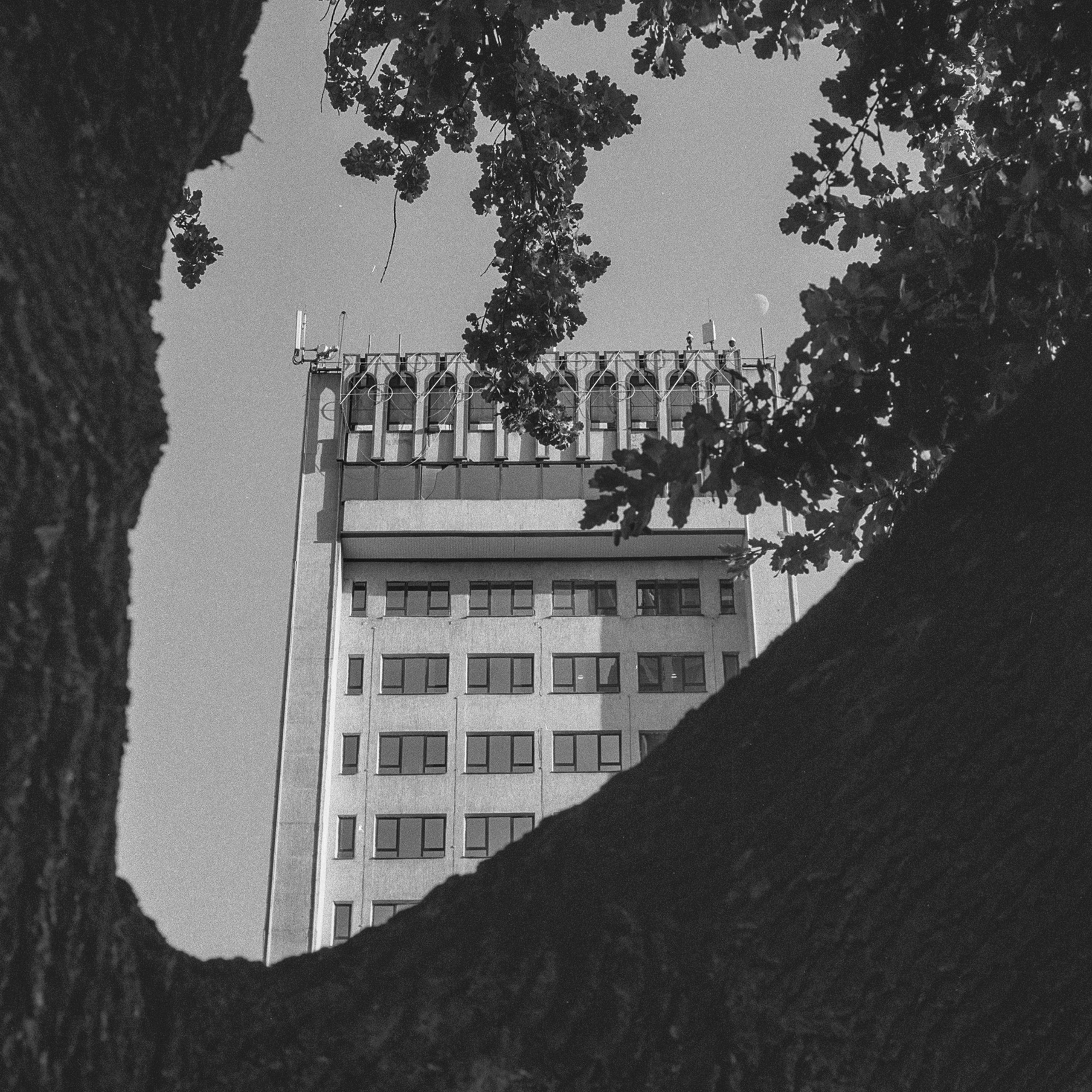 Islam Karimov Street, 55, Uzbekistan. 2025