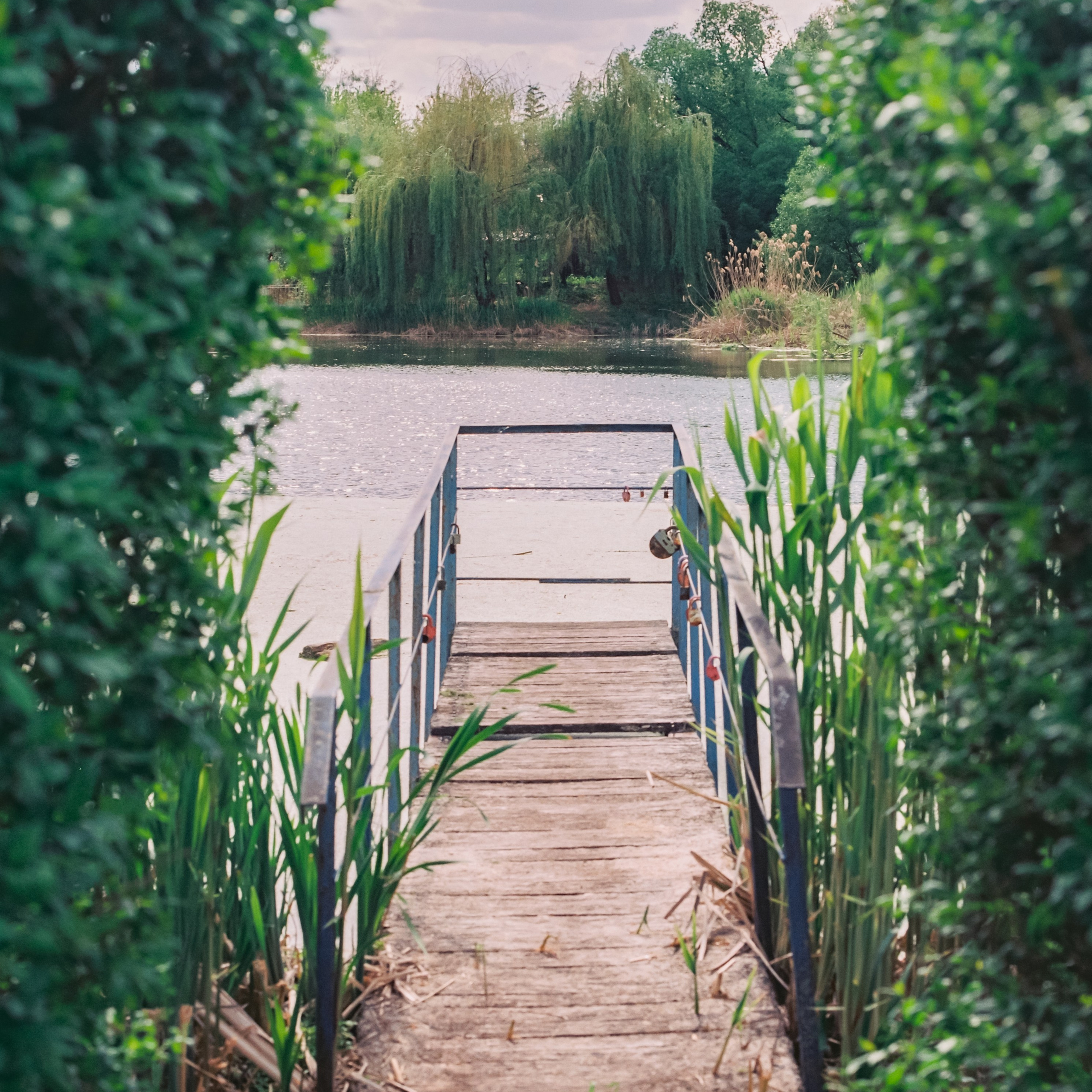Pond dock, hometown. 2025