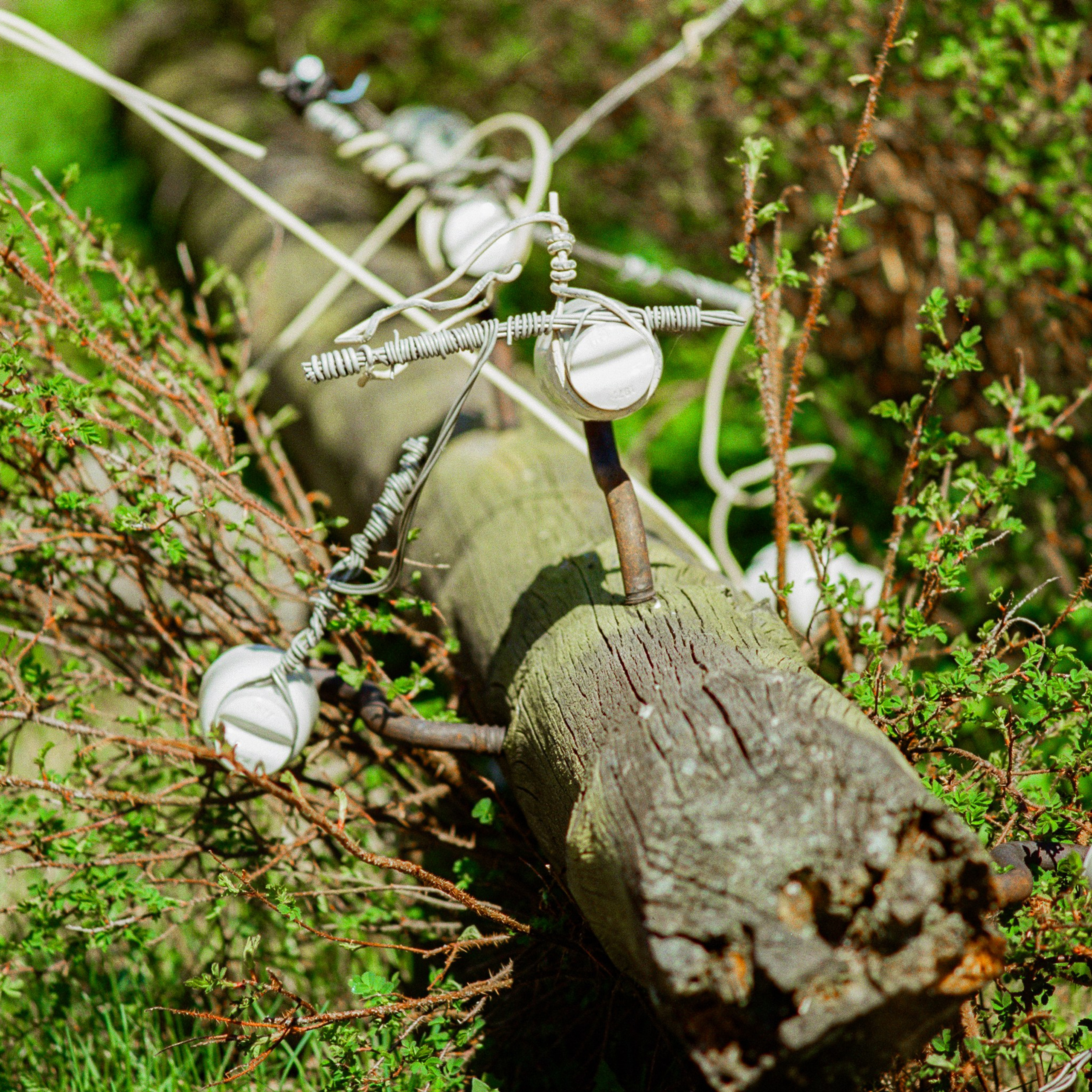 Rostov Veliky, Yaroslavl Oblast. 2024