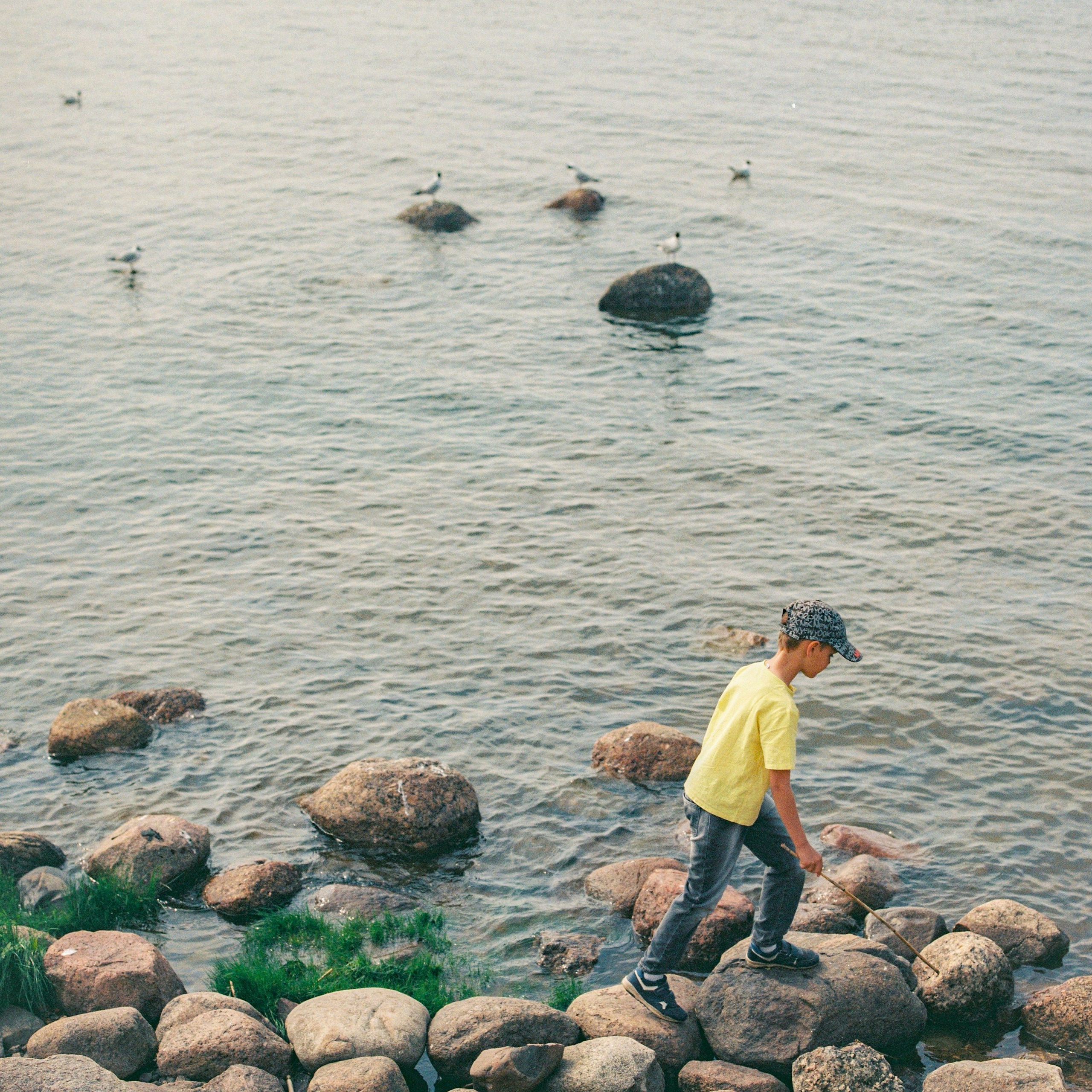 Petergof, Leningrad Oblast. 2025