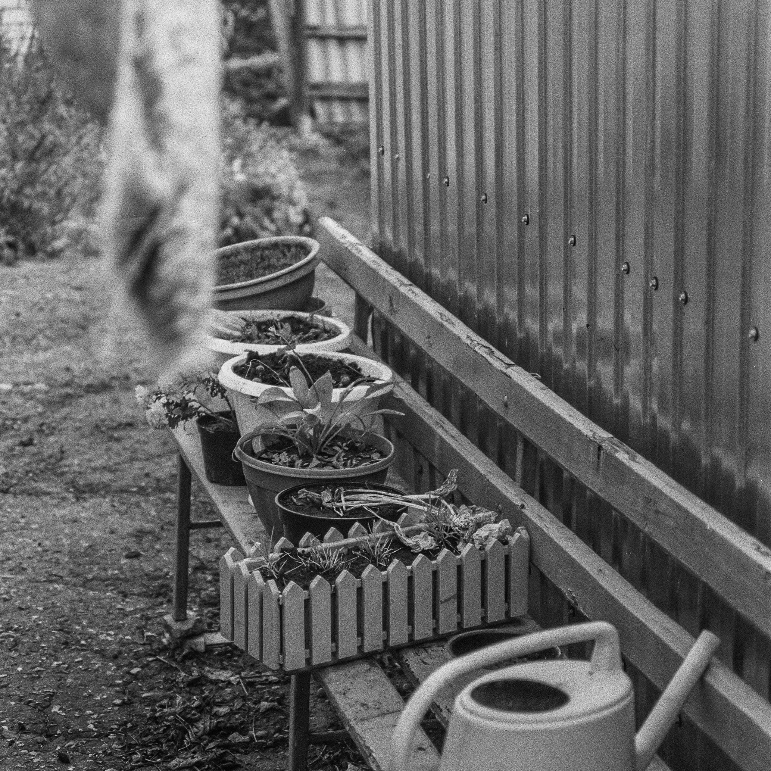 A bench, hometown. 2023