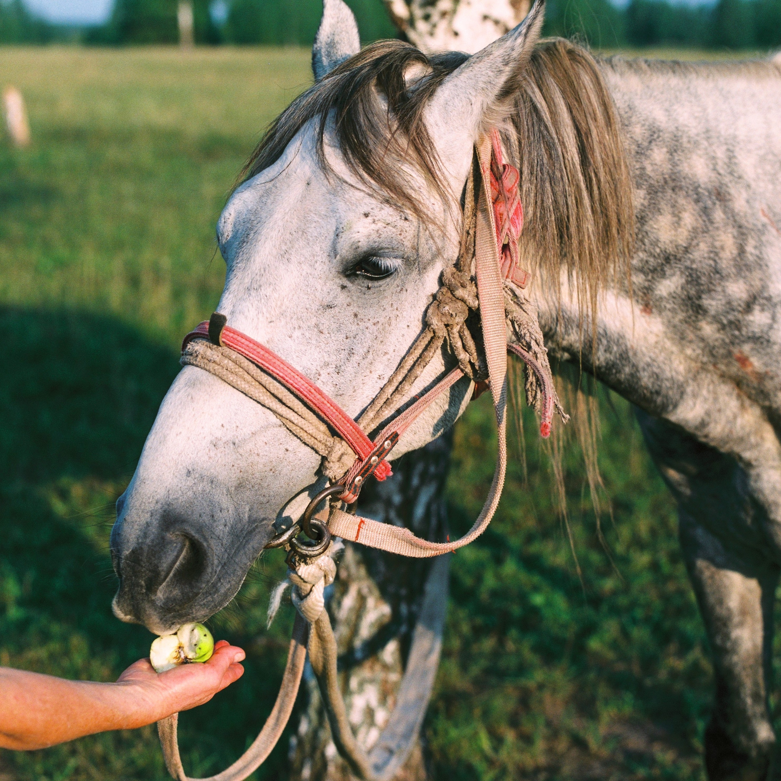 Yuzhny, Tula Oblast. 2025