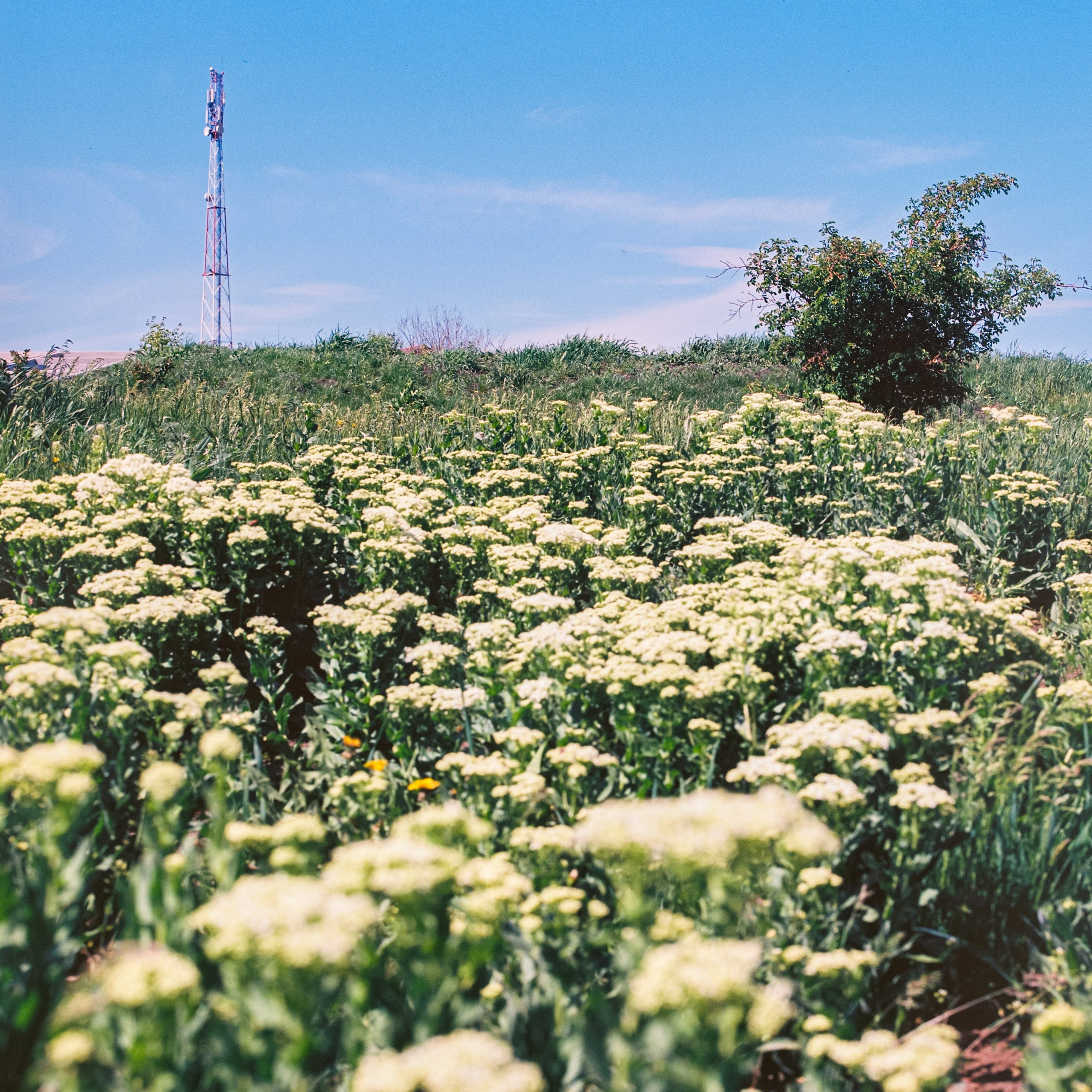 Communication tower, hometown. 2025