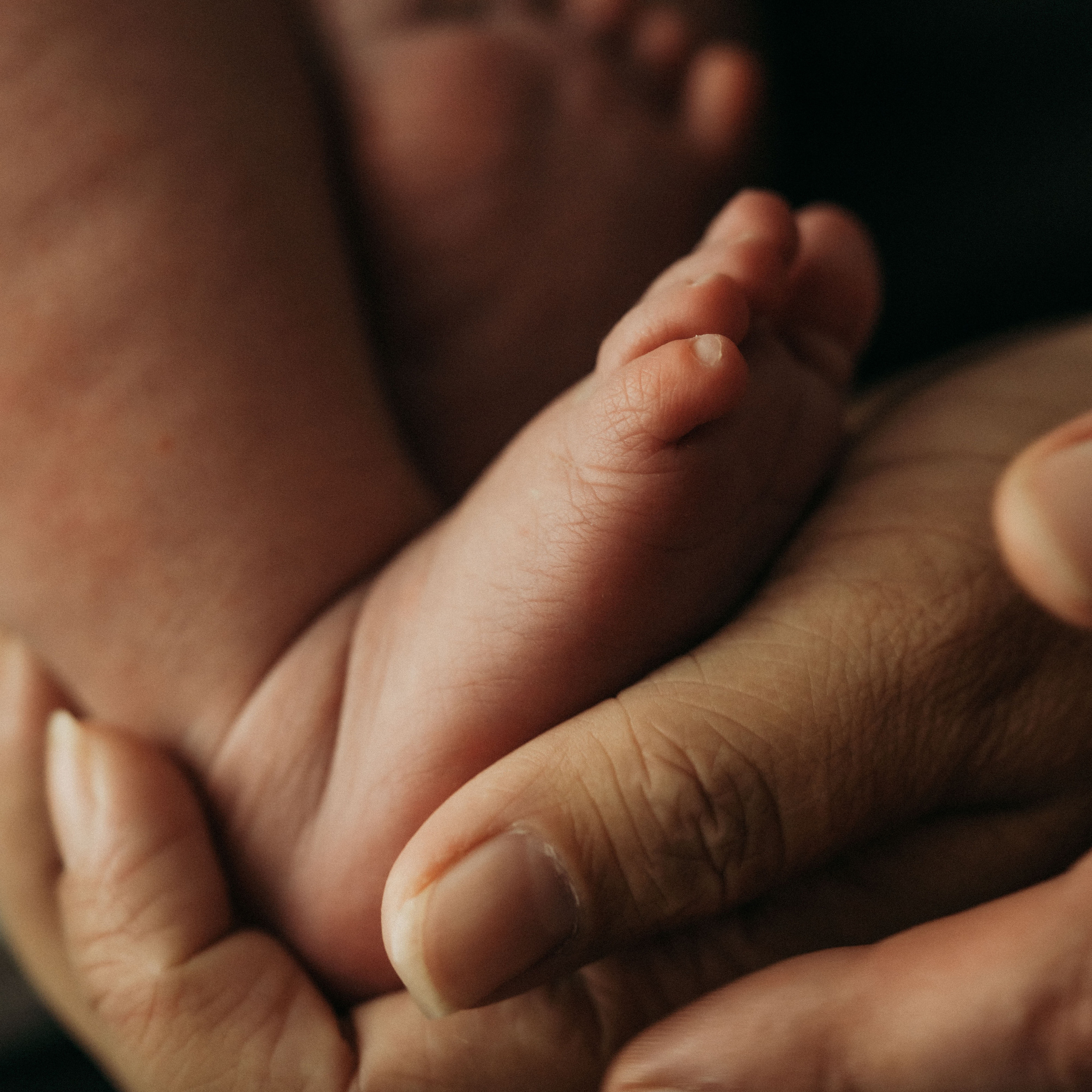 Отзывы. Фоторежиссер — O! Markova