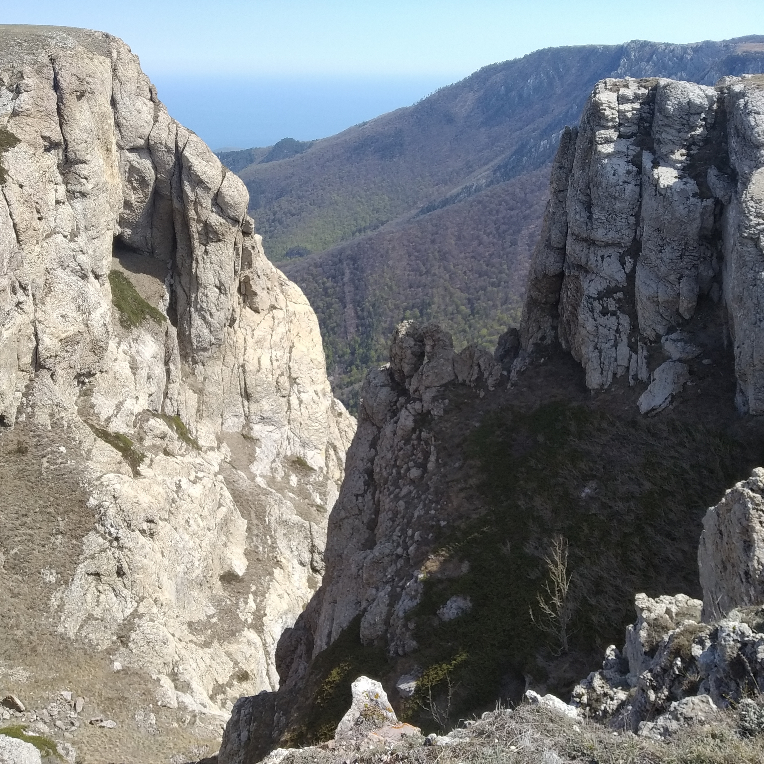 Отзывы. Выпускные альбомы в Крыму