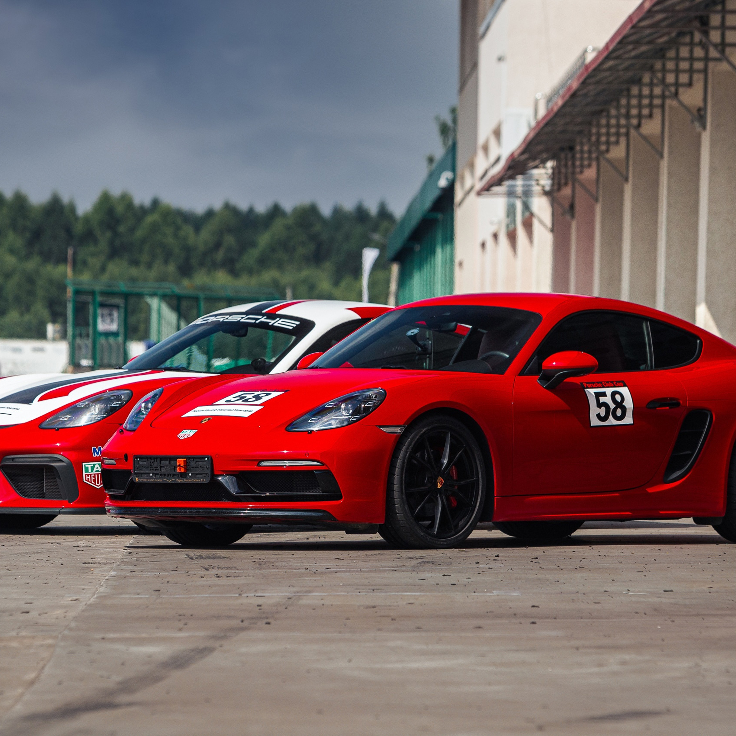 Отзывы. Фотограф Максим Черствов. Дзержинск, Нижний Новгород