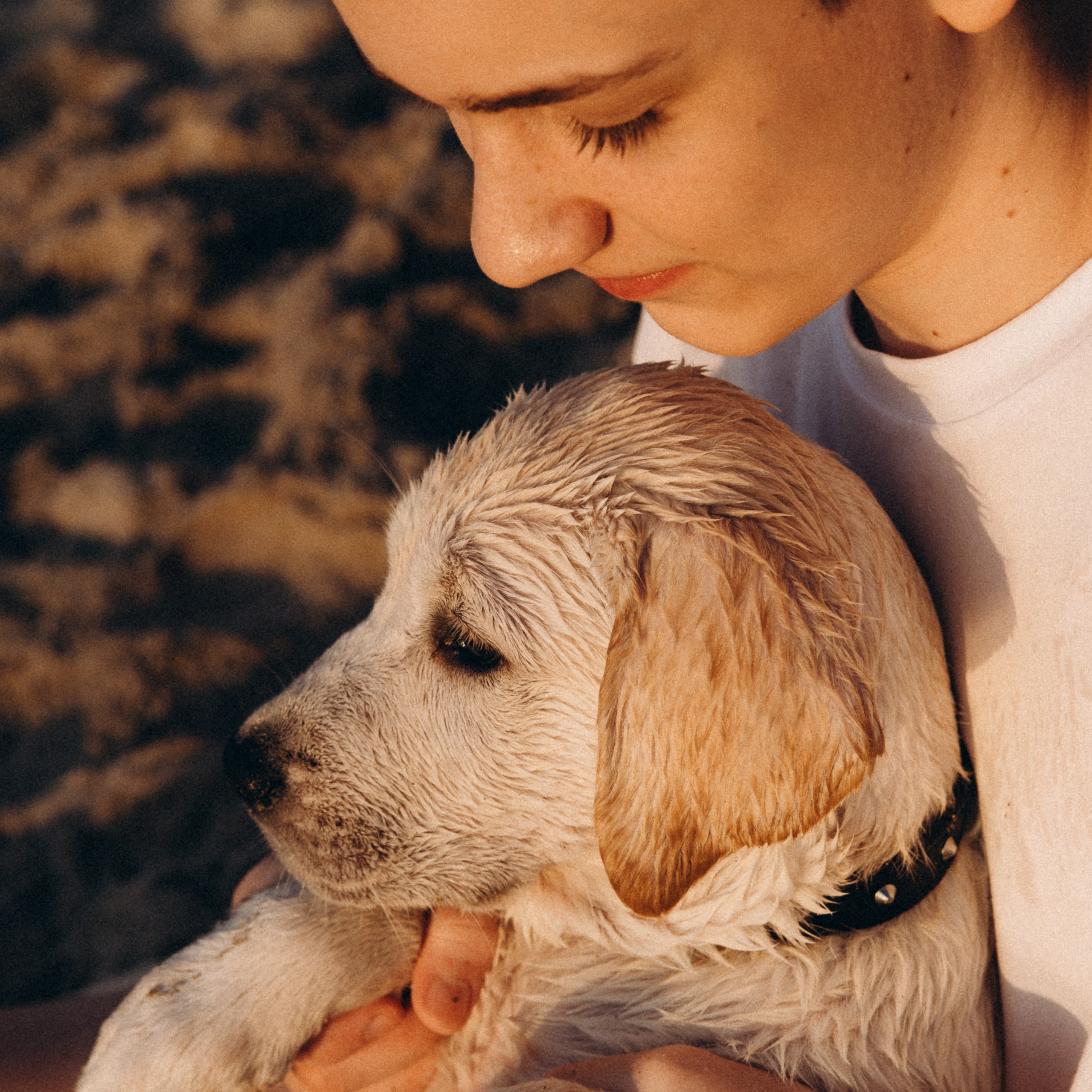 Семейная история с питомцем