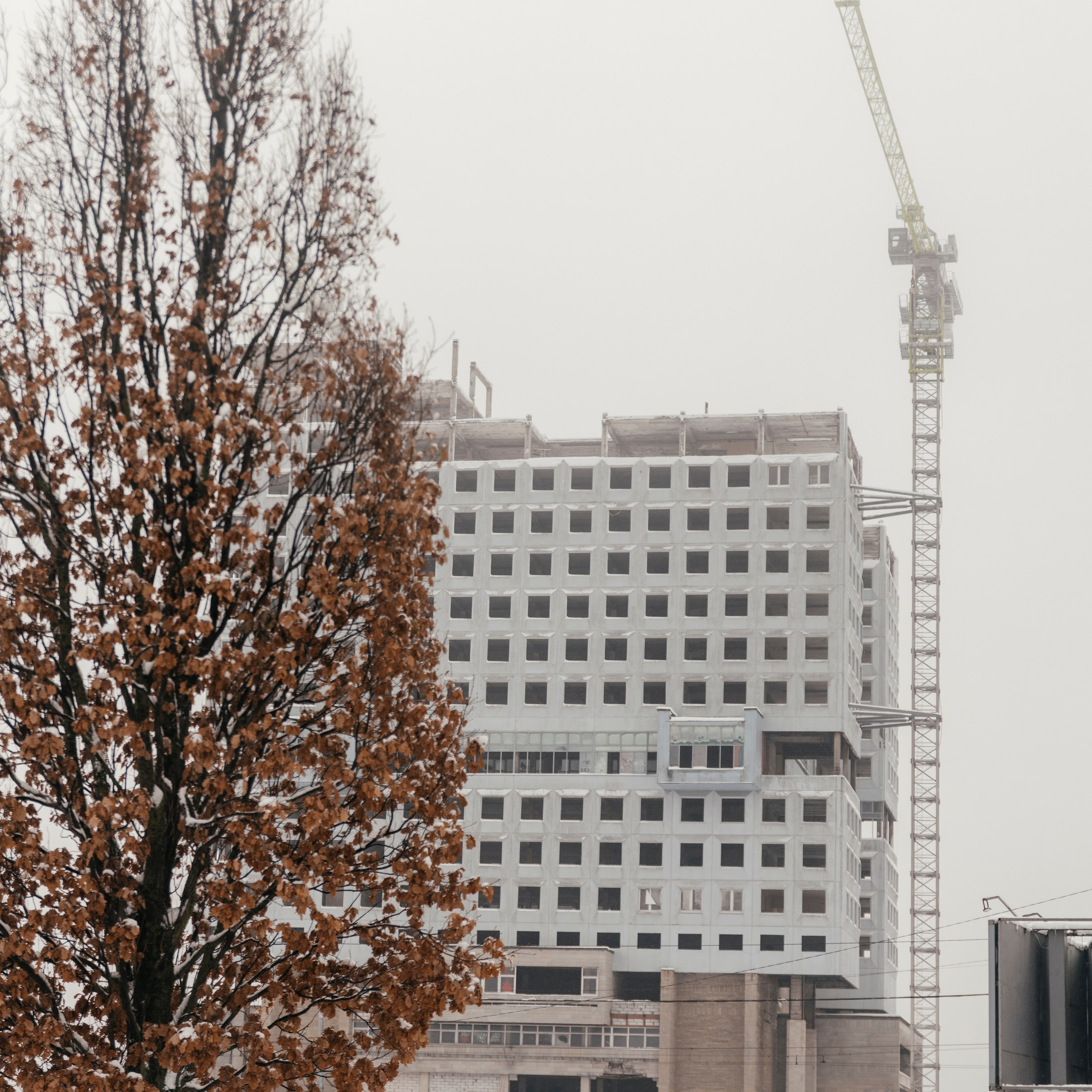 Отзывы. Свадебный и портретный фотограф в Калининграде Наталия Еник