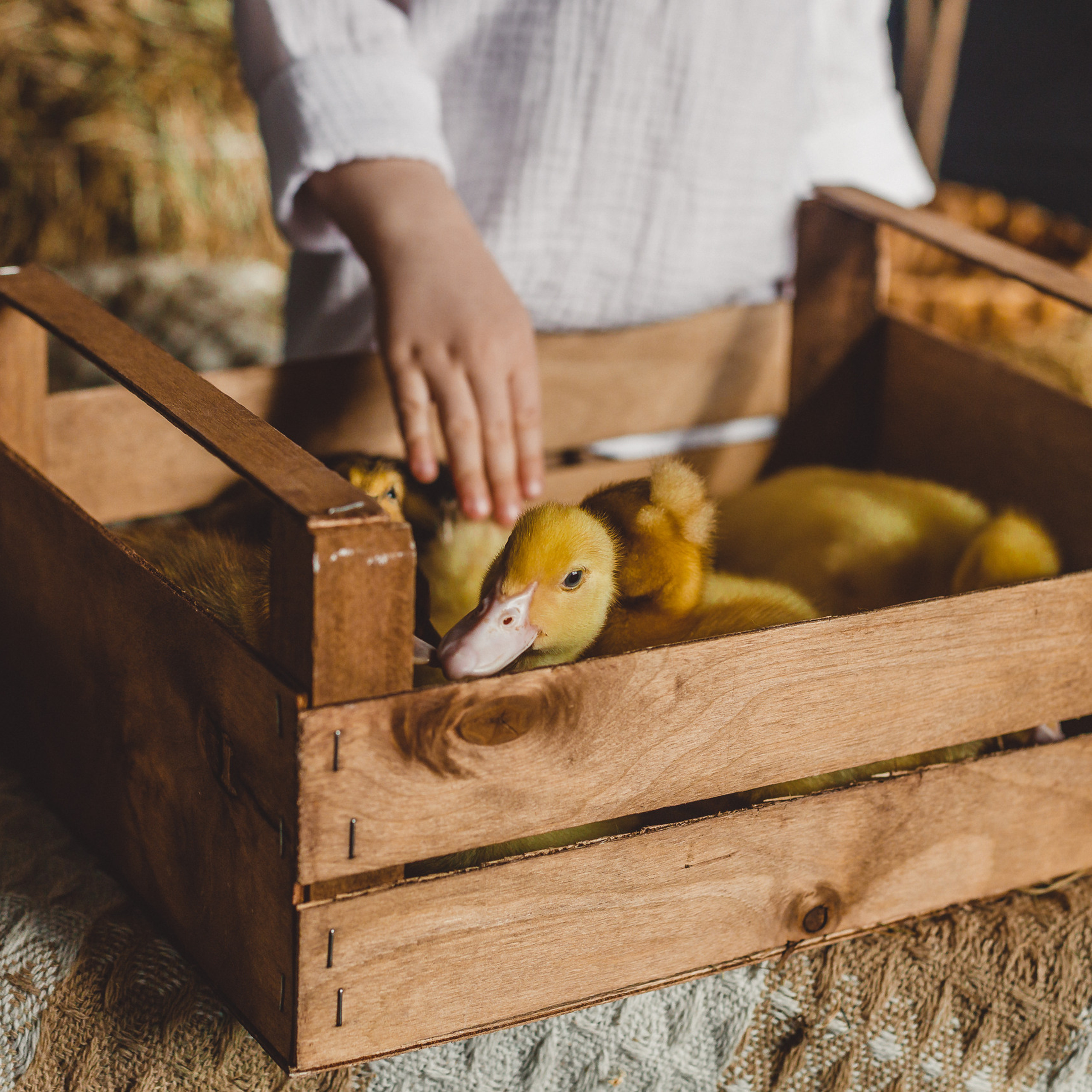 Отзывы клиентов. Свадебный и семейный фотограф Дарья Осипова (Никитина). Саратов