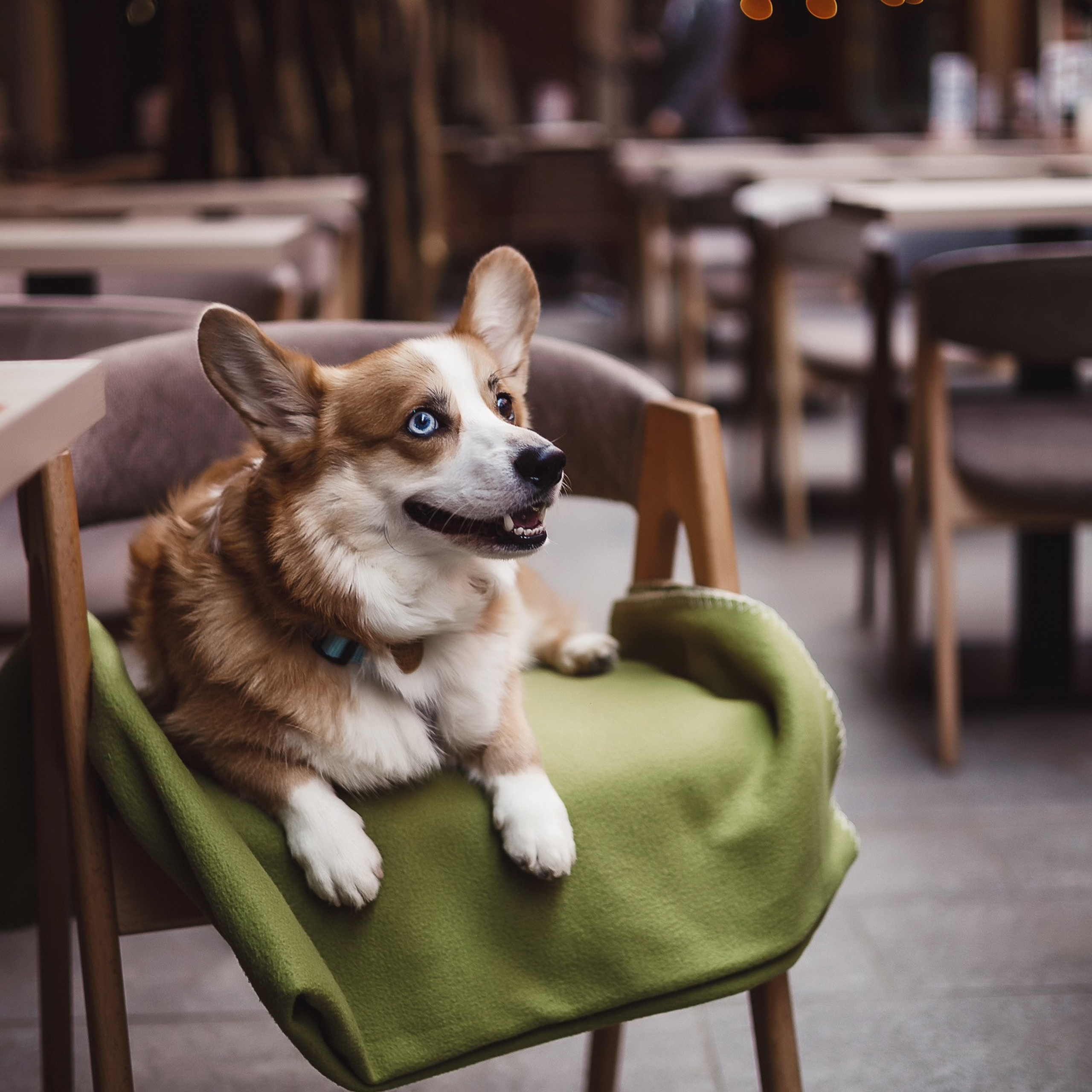Отзывы клиентов. Свадебный и семейный фотограф Дарья Осипова (Никитина). Саратов