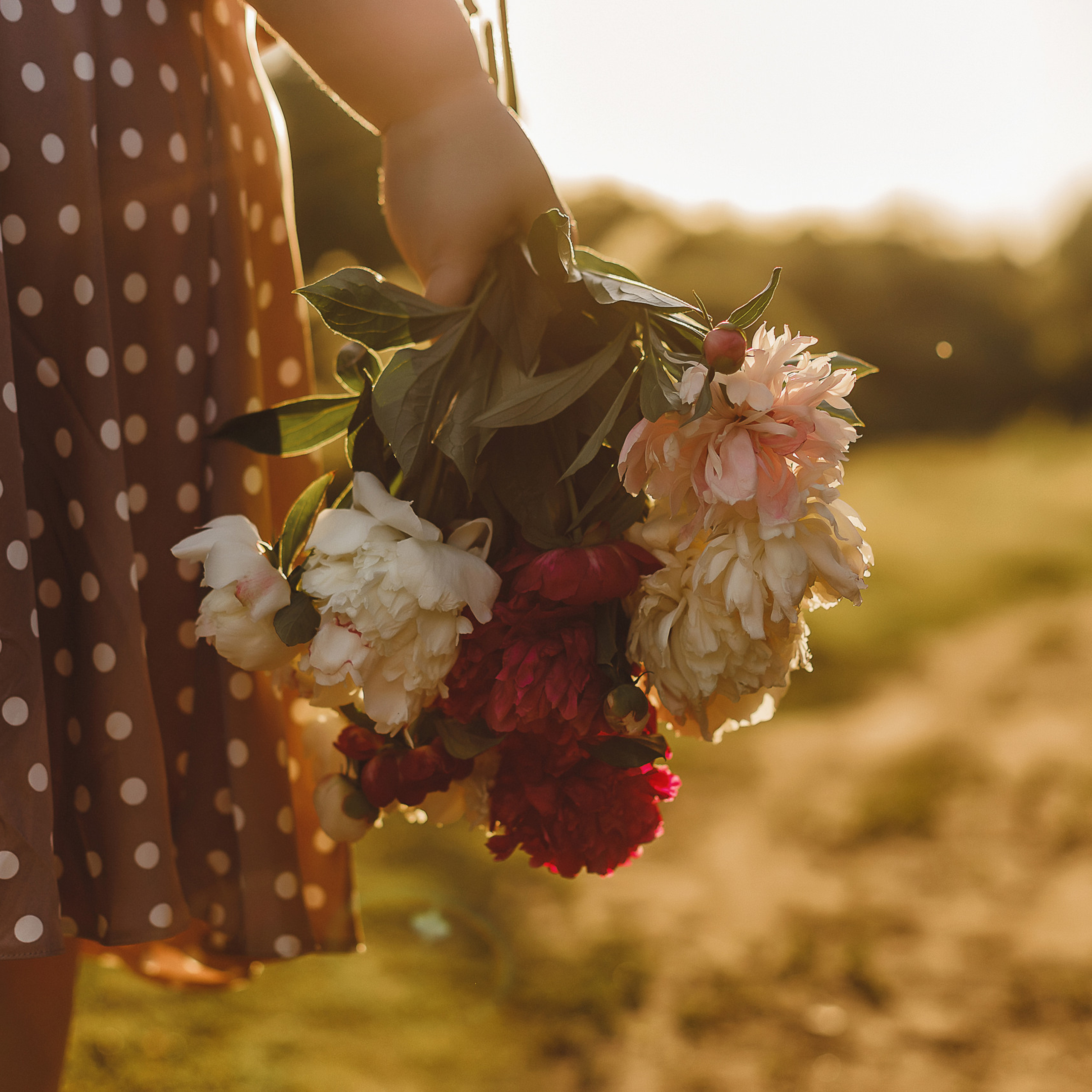 Отзывы клиентов. Свадебный и семейный фотограф Дарья Осипова (Никитина). Саратов