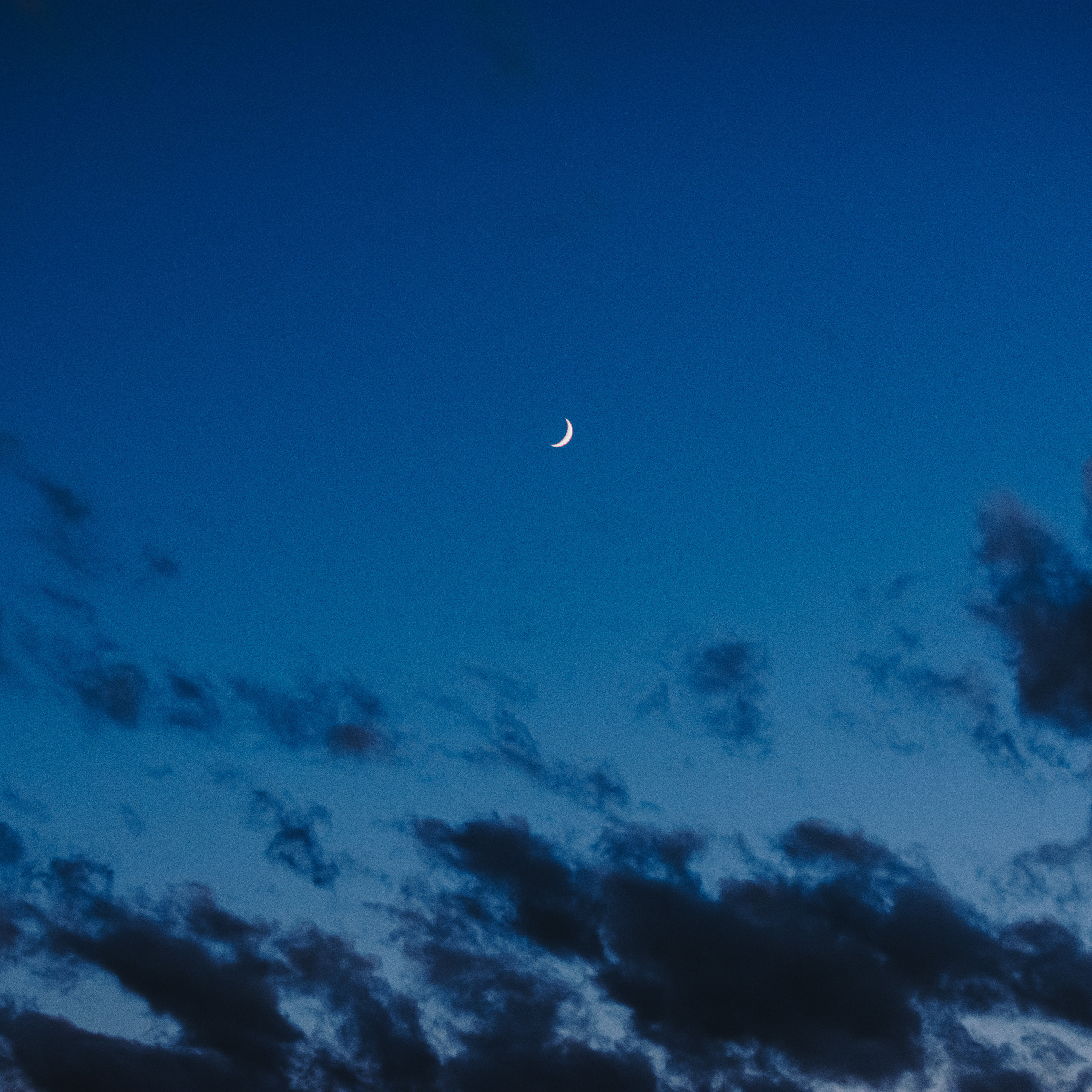 Музсходка 3 июня 2022. Фотограф Юлия Старцева Тюмень