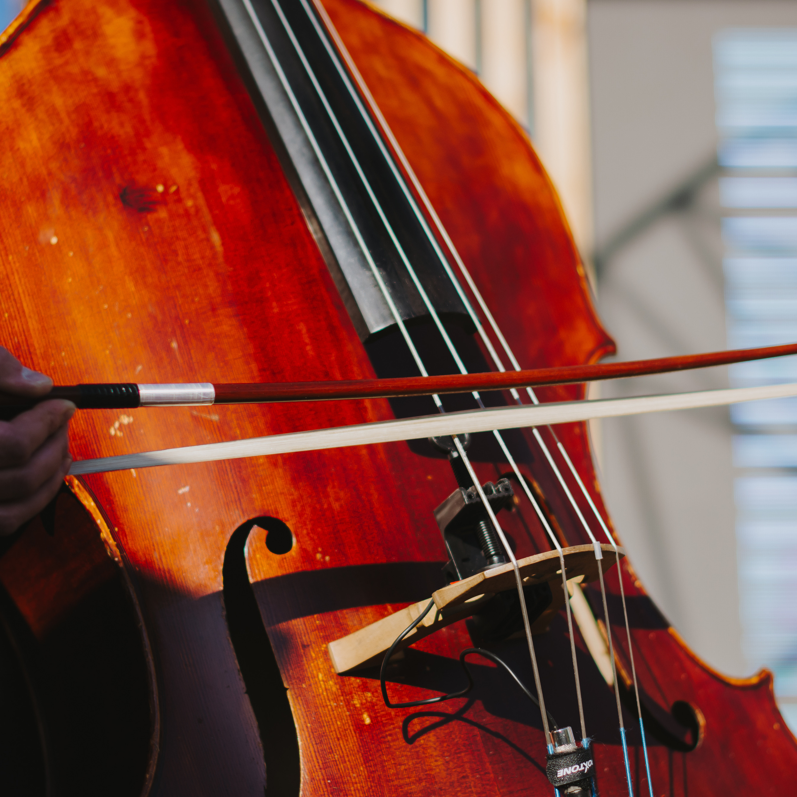 Музсходка 3 июня 2022. Фотограф Юлия Старцева Тюмень