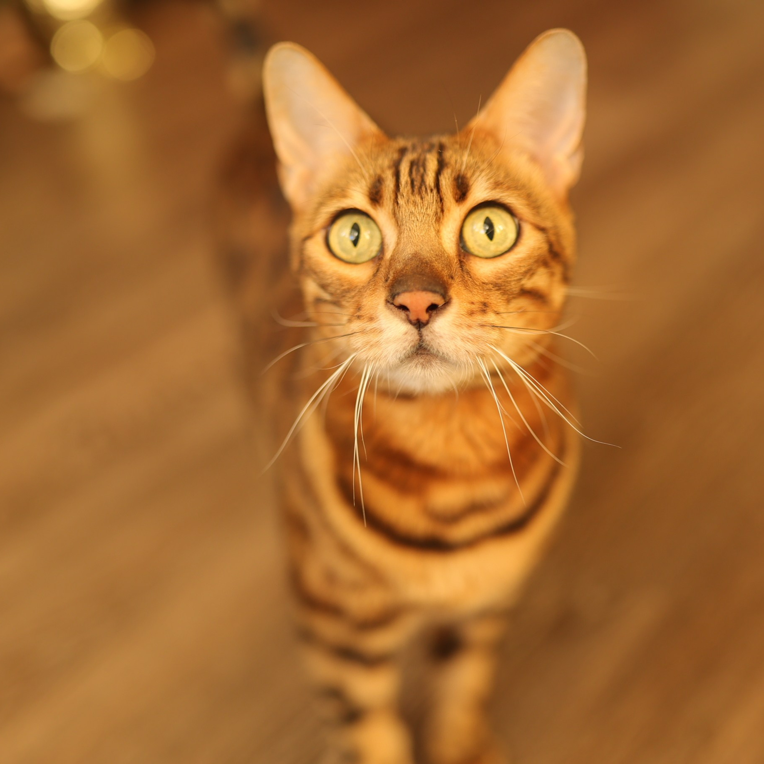 Отзывы. Фотограф Зоя Костюк | Детский и семейный фотограф Ярославль, Кострома,