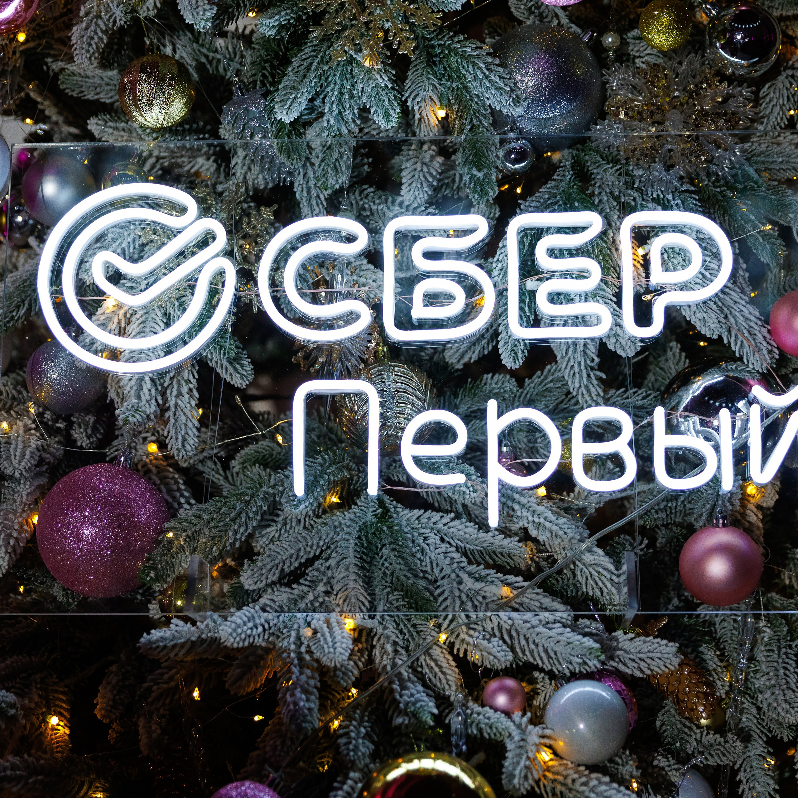 Сбер Первый