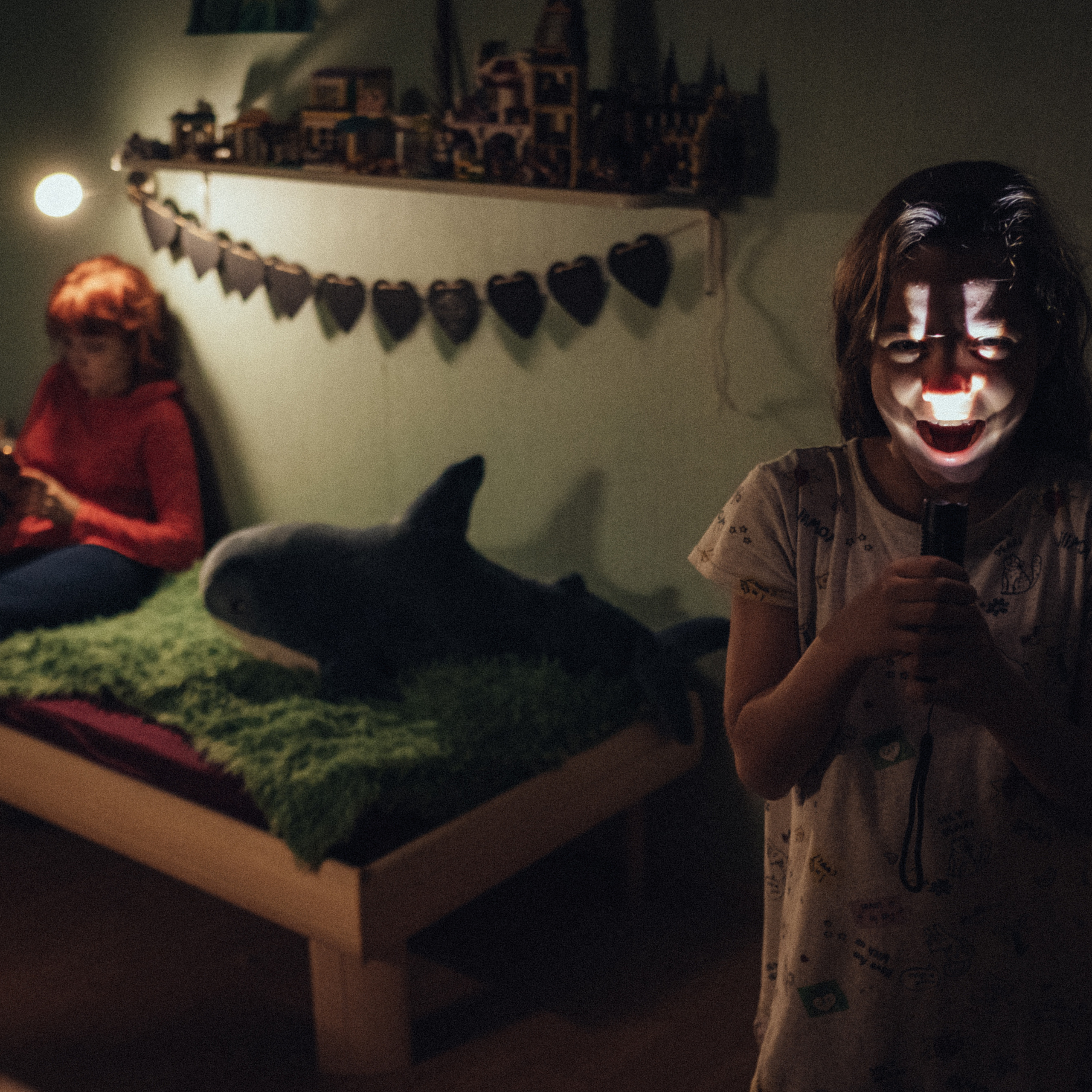 Дело было вечером (домашняя съёмка)