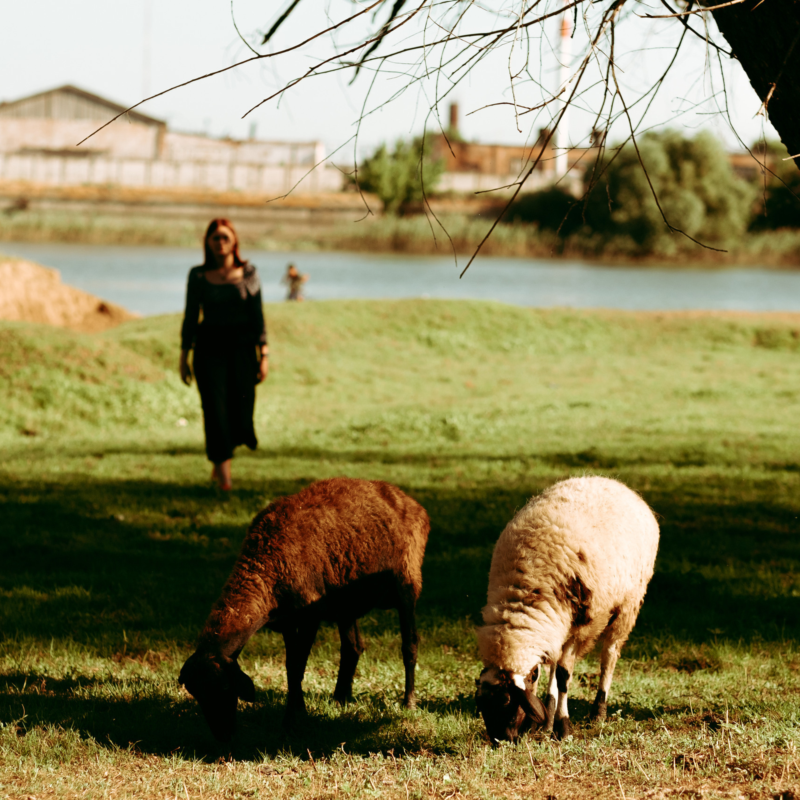 Отзывы на фотосъемку от клиентов. Фотограф в городе Астрахань Ольга Лазиева