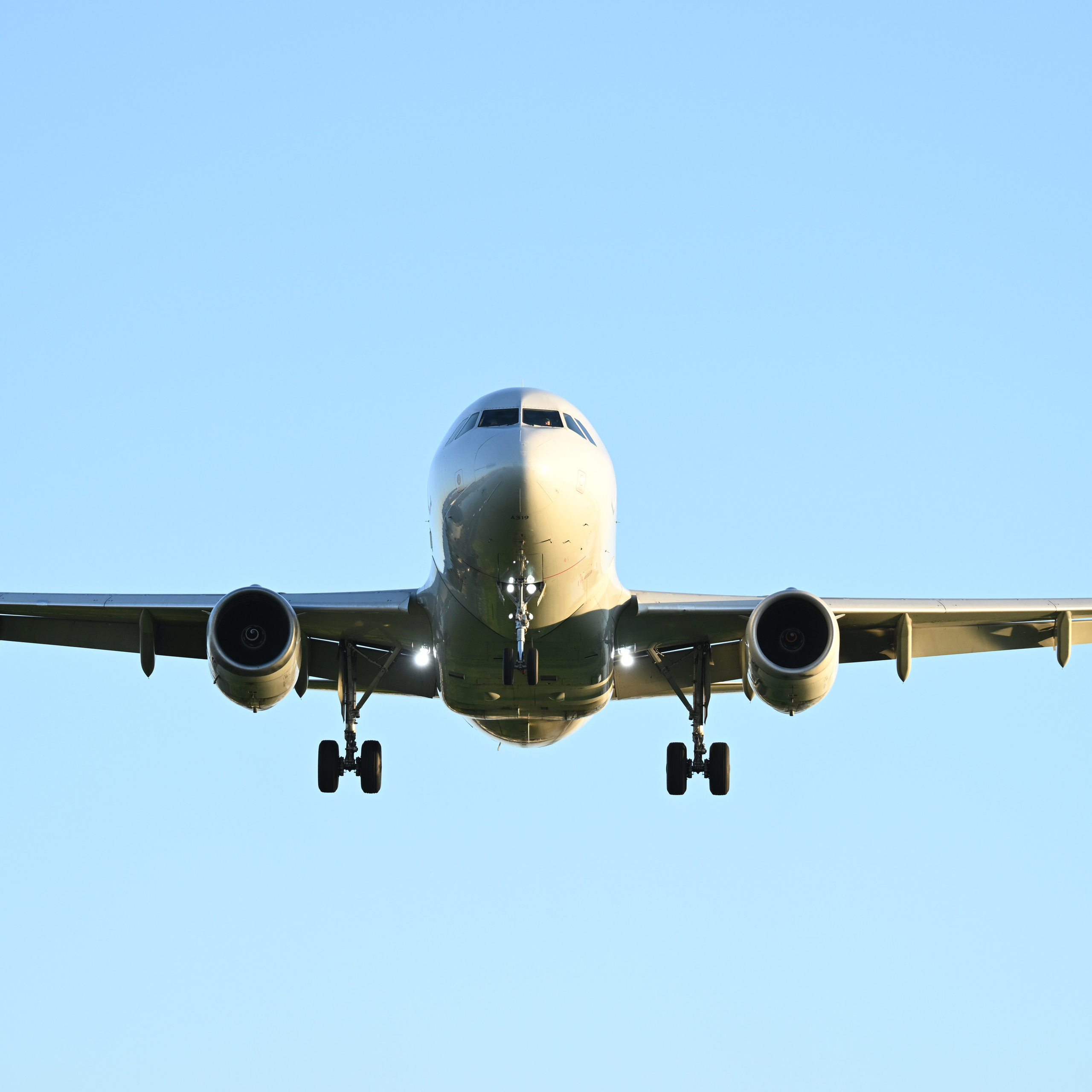 Nikon анонсирует Z 180-600 мм F5.6-6.3 VR и Z 70-180 мм F2.8. Фотограф — видеограф в Москве Дмитрий Менделеев