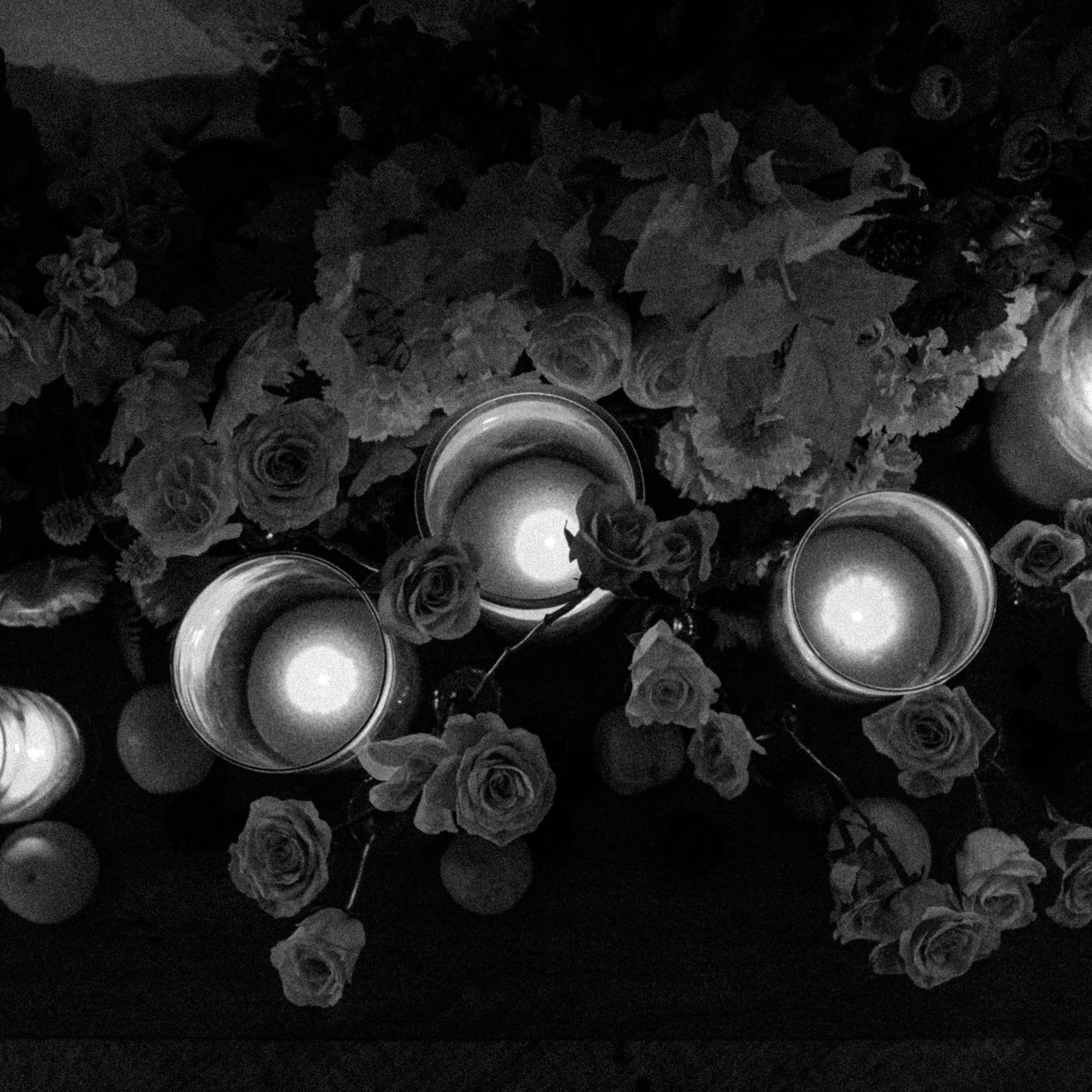 Отзывы. Свадебный фотограф Абрамова Ксения