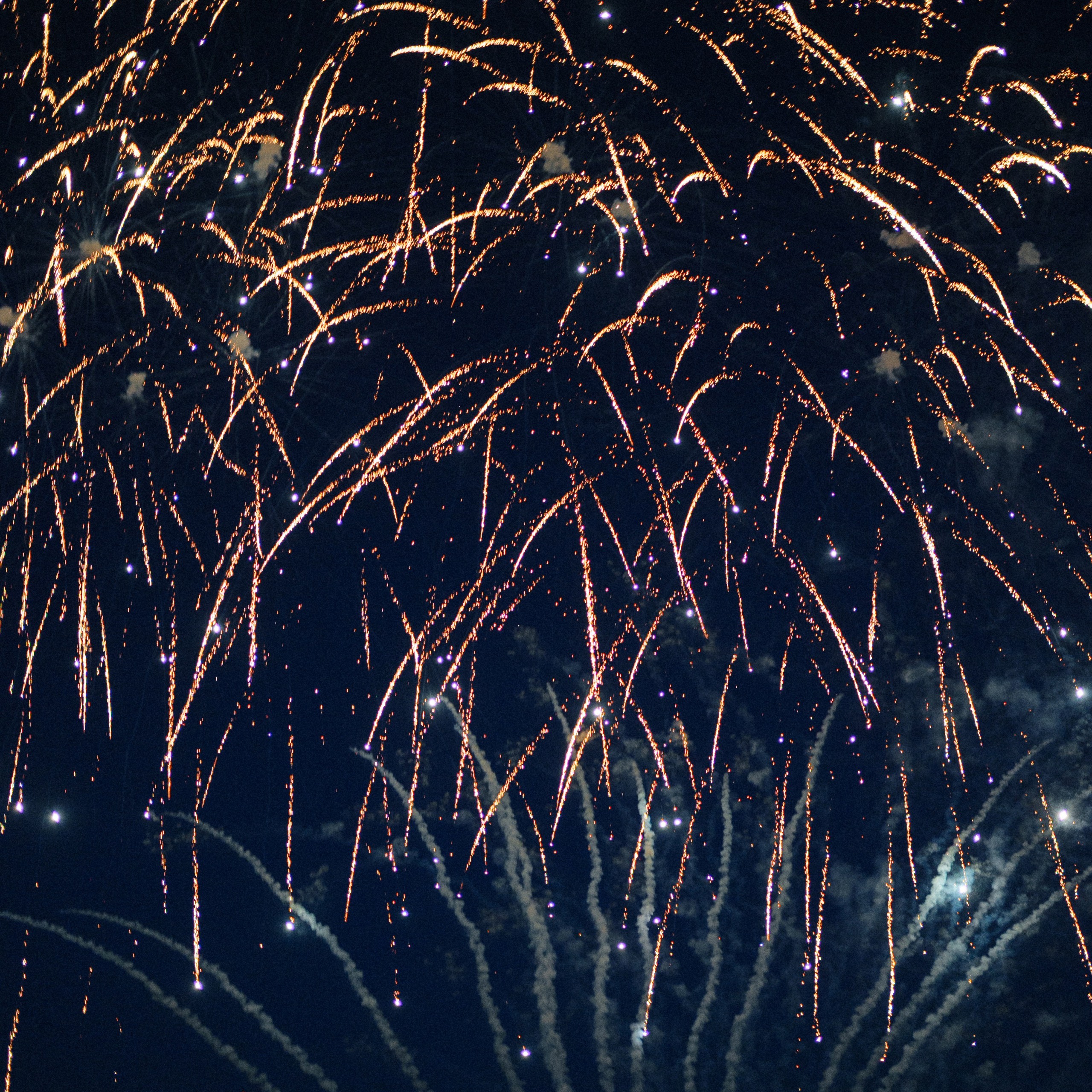 Отзывы. Свадебный Фотограф Казань Челны