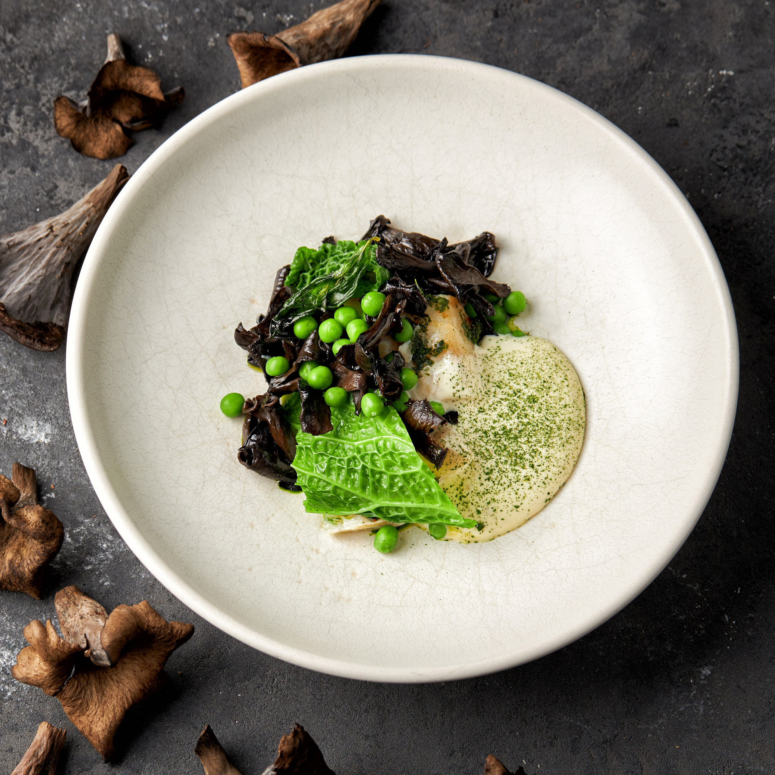 Контакты. Главная