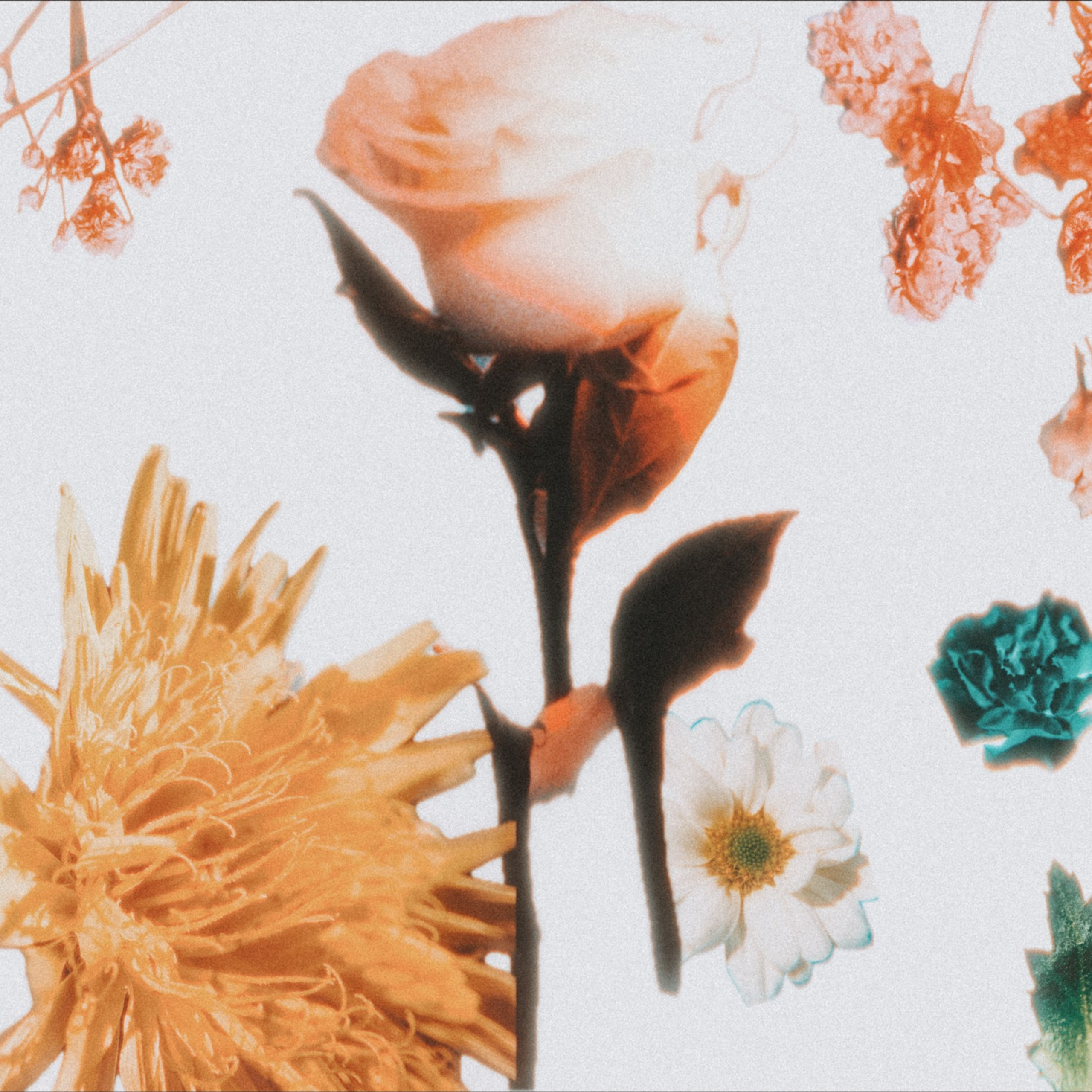 Everyday: Fragments