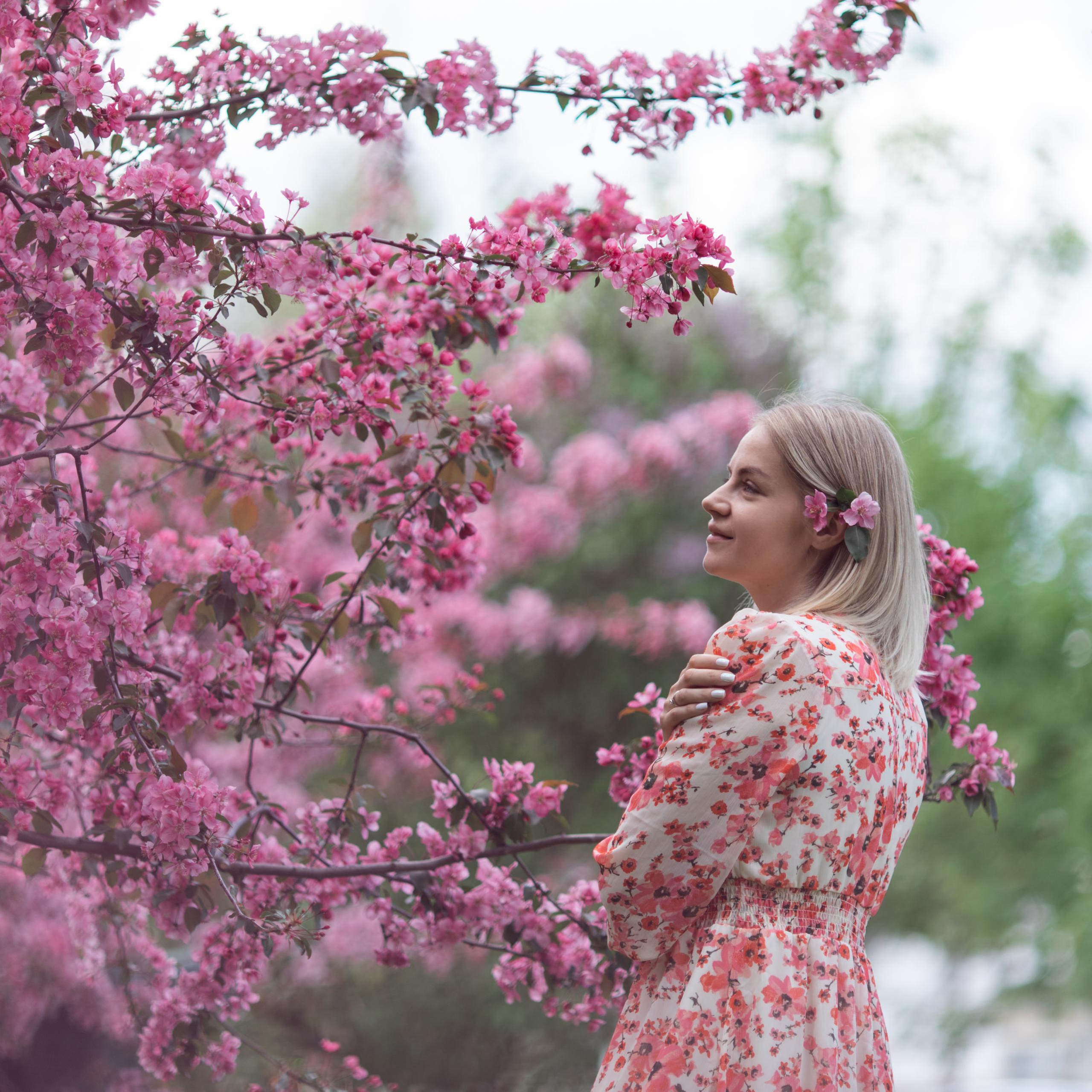 Японский садик