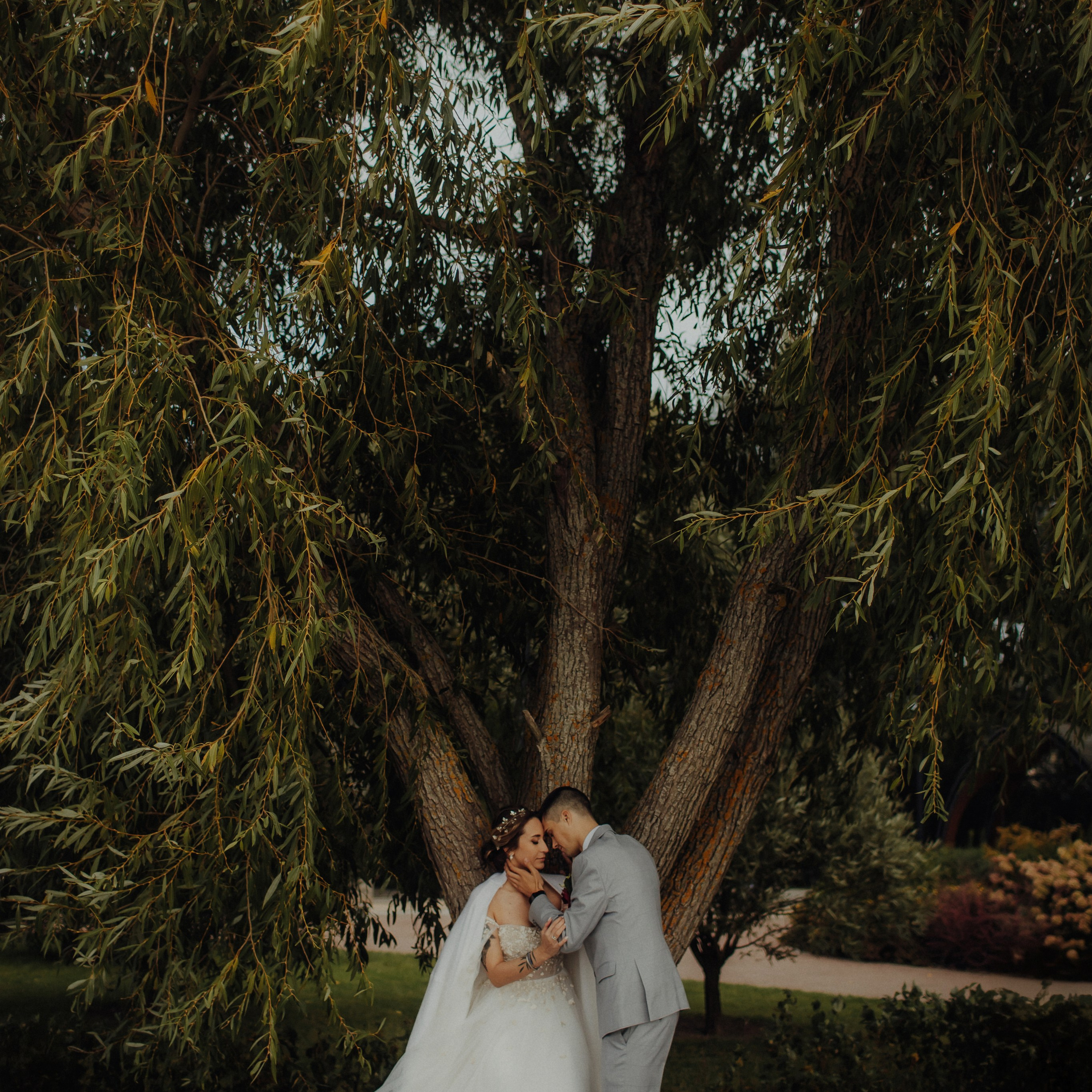 Свадебная съемка. Фотограф Анна Гребенник