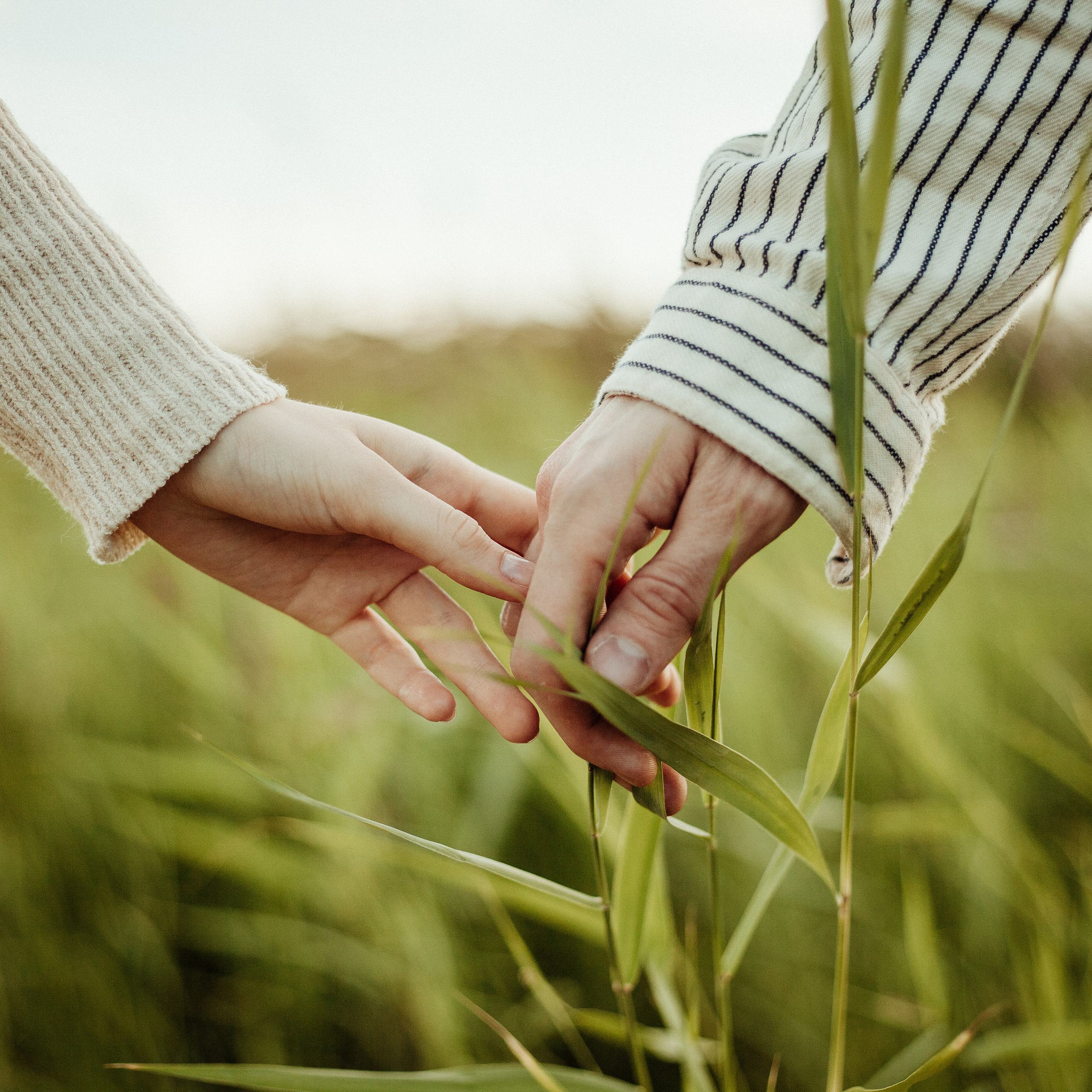 Свадебная съемка. Фотограф Анна Гребенник