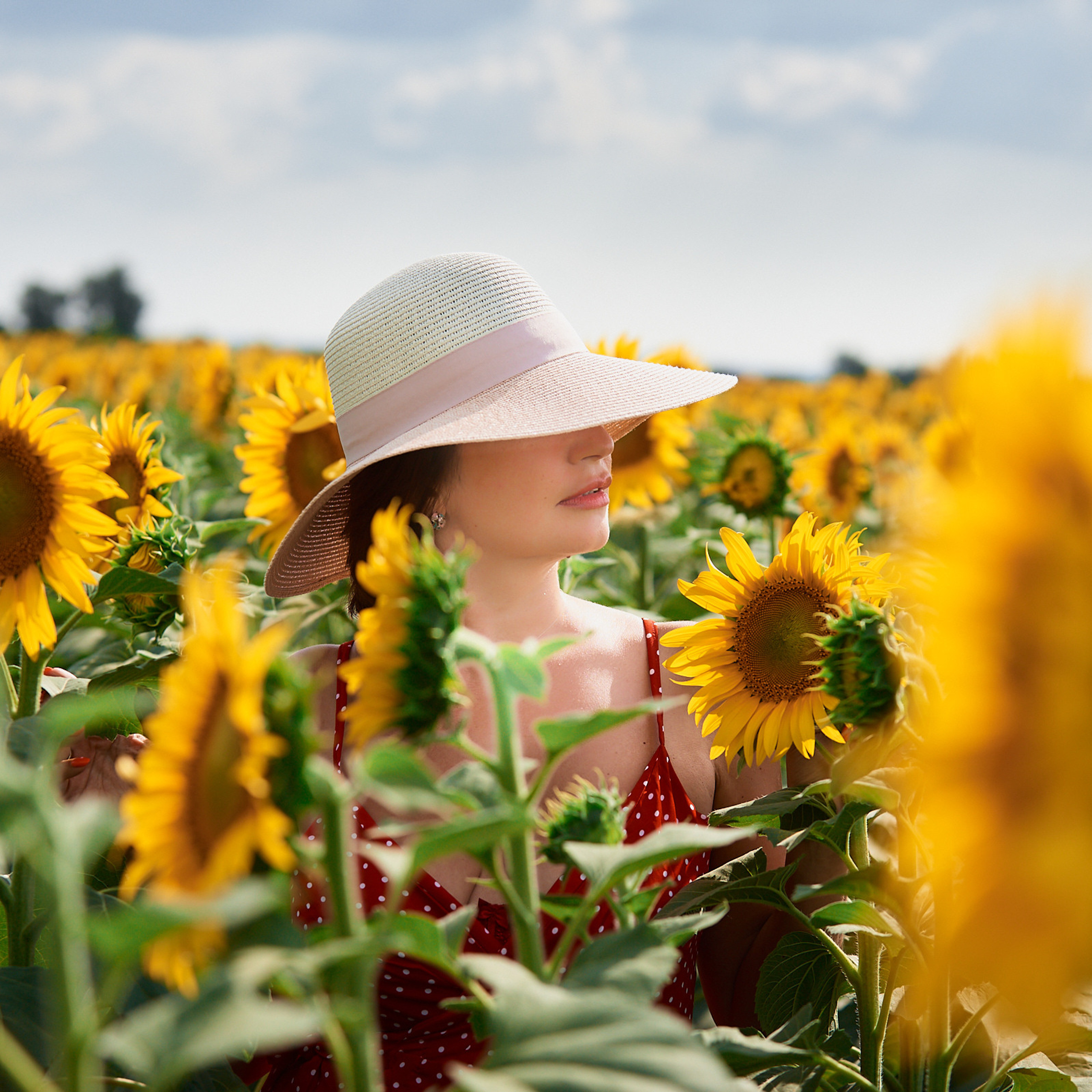Подсолнухи (прогулка)