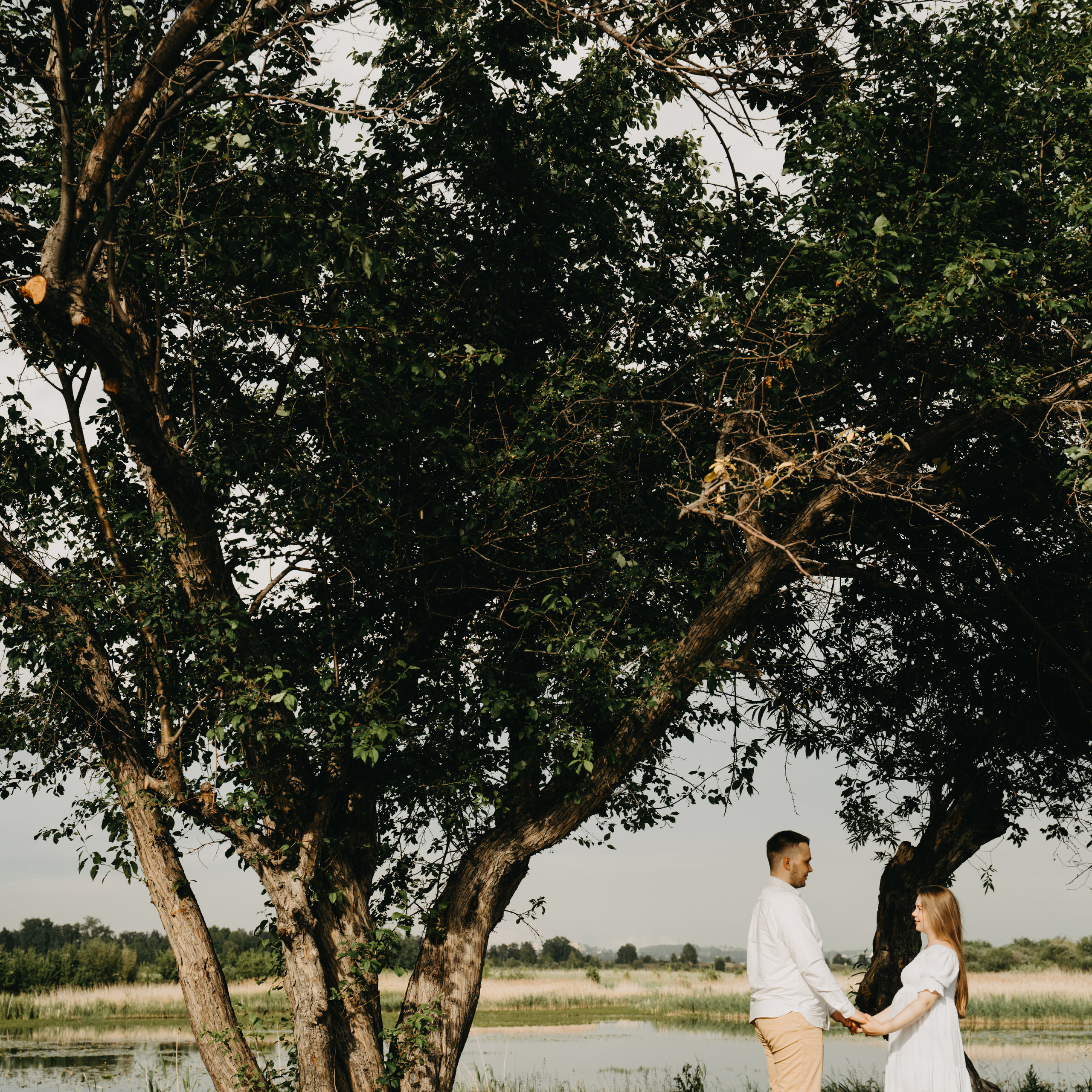 волшебный мир на троих