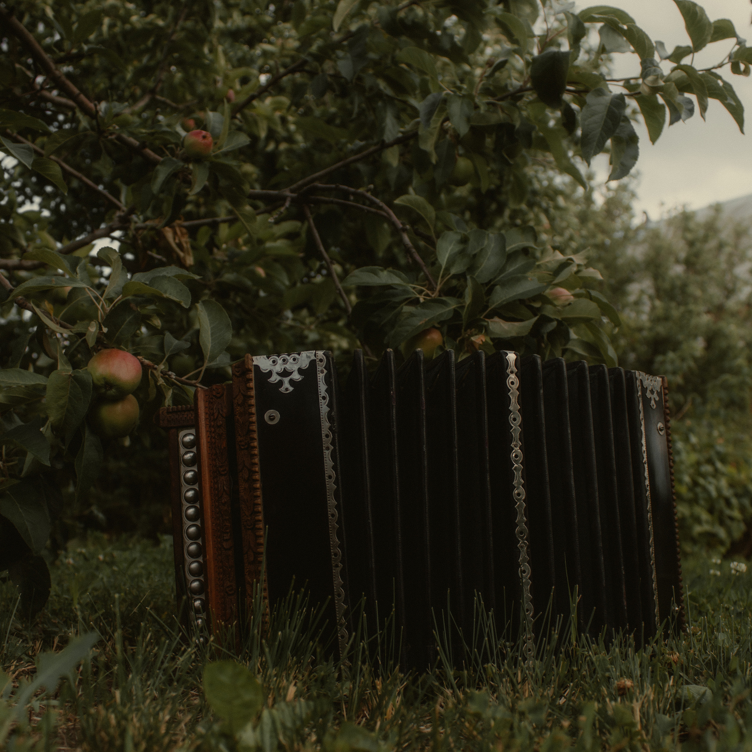 Отзывы. Семейный и свадебный фотограф в Самаре