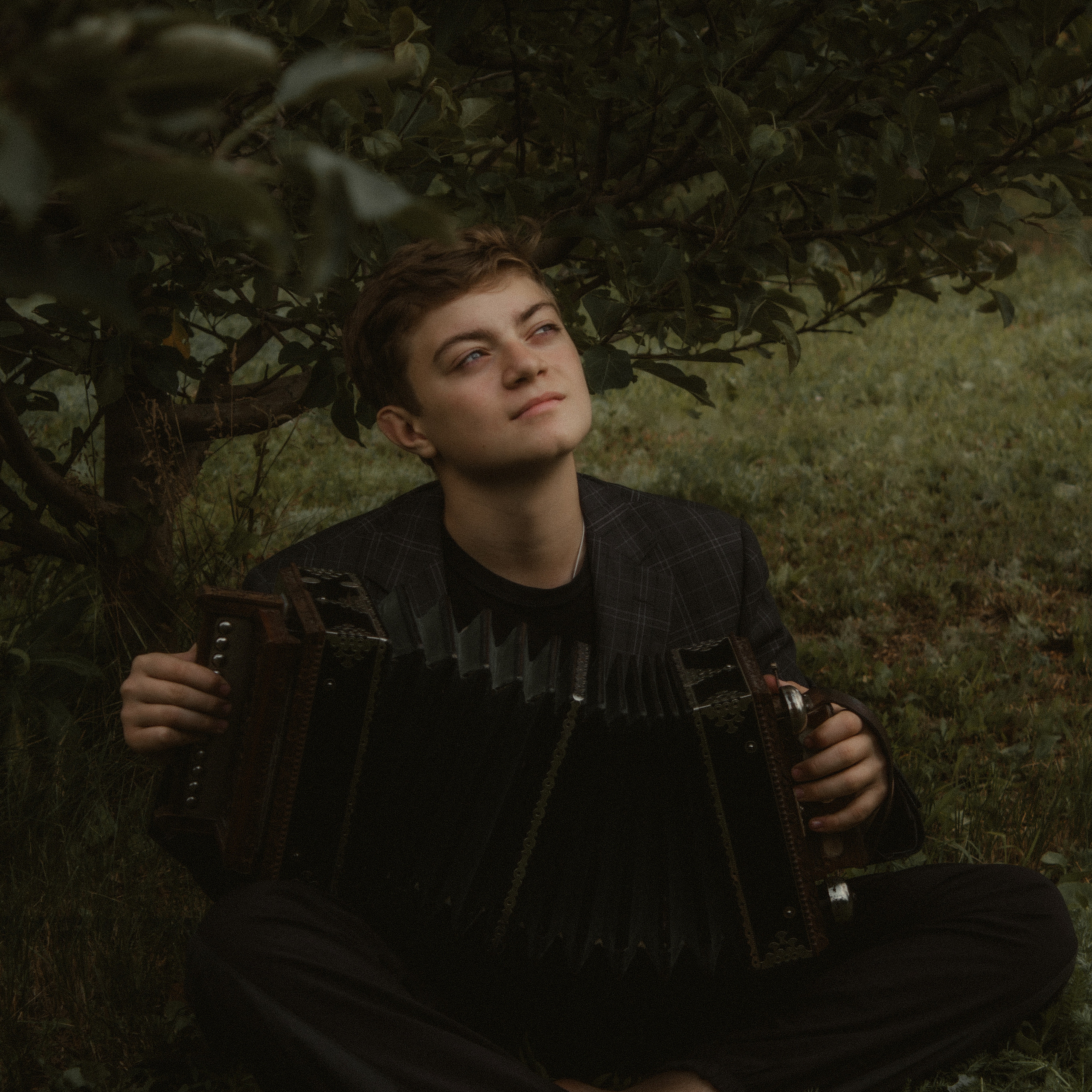 Яблоневый сад