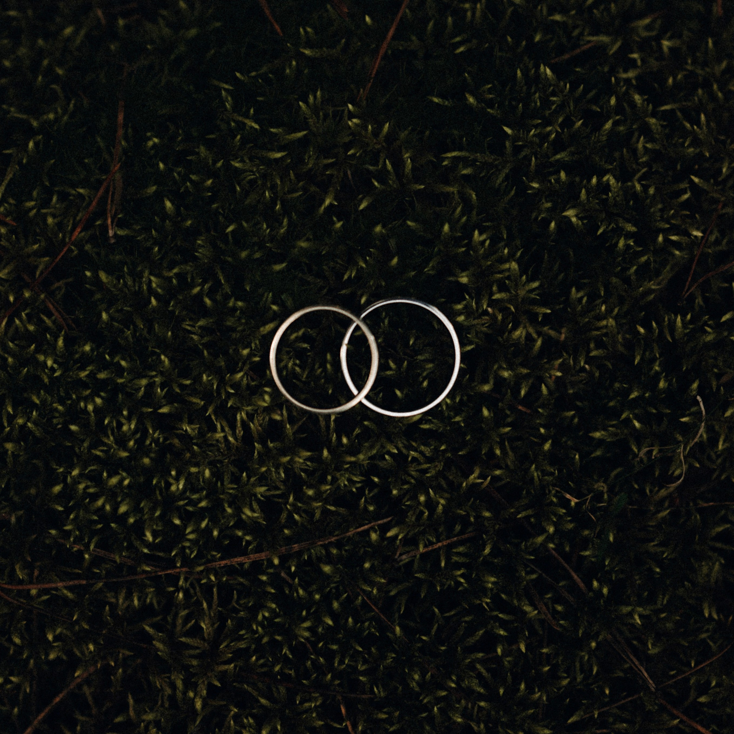 Эльфийские мотивы